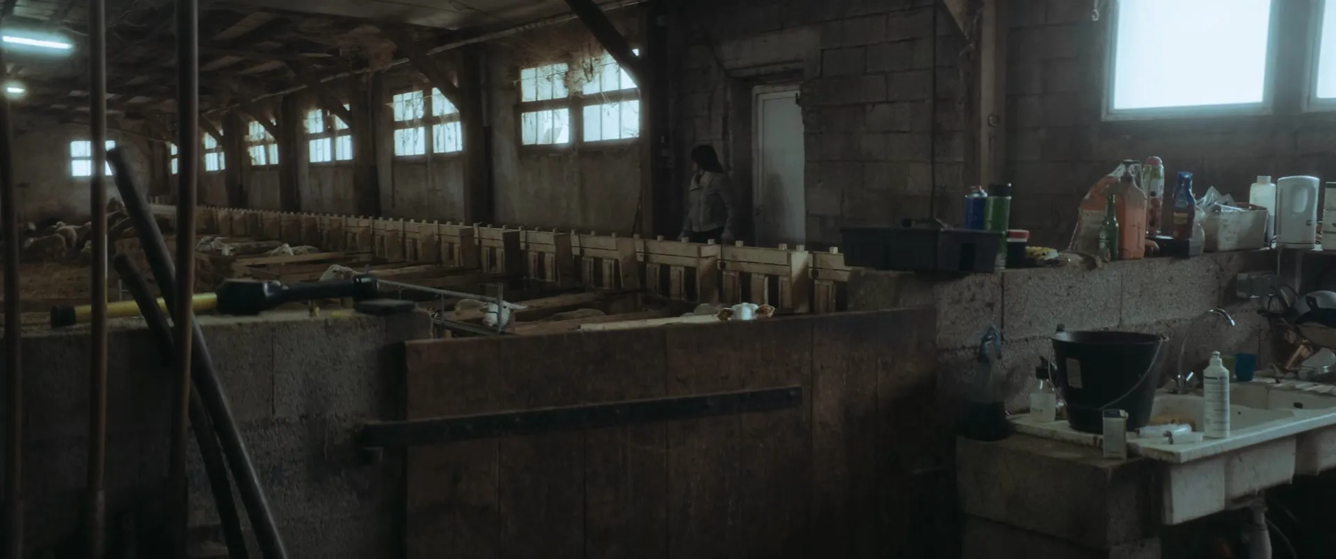 Only the Animals (2019)