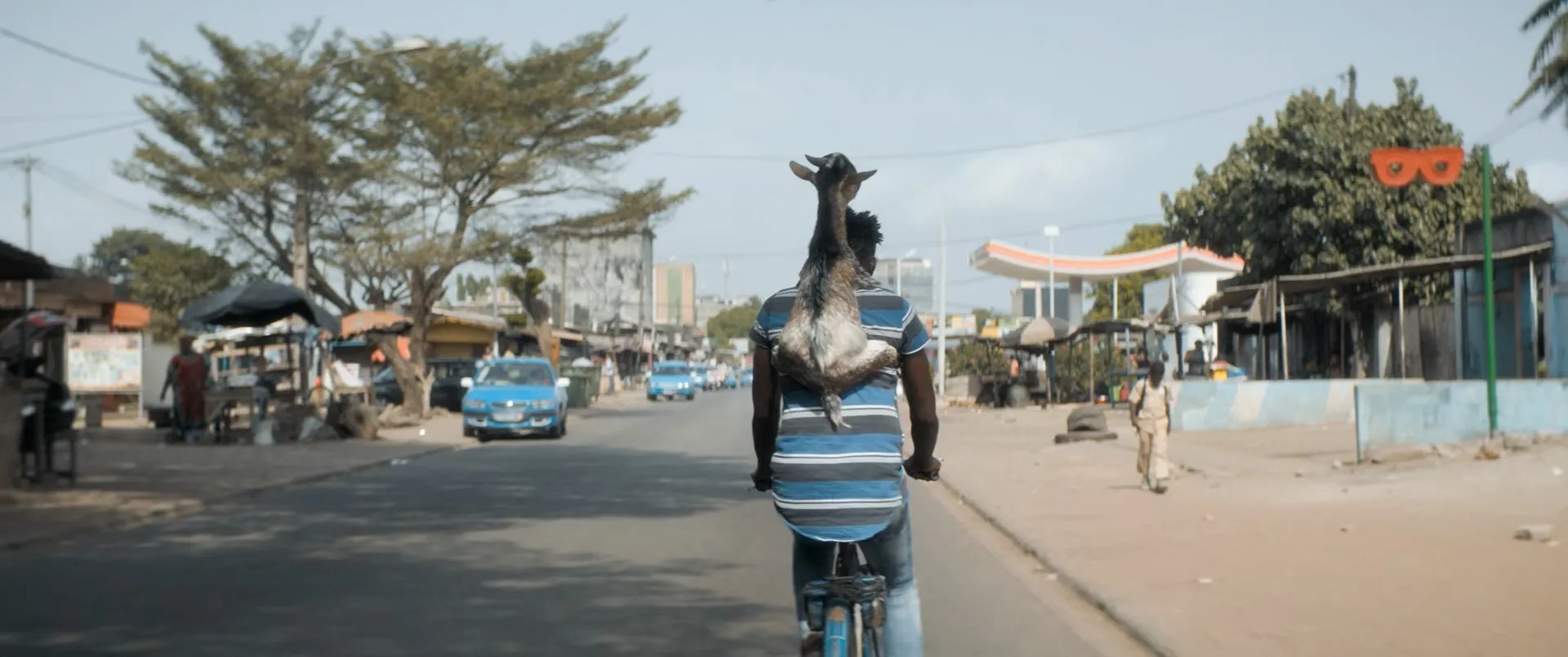 Only the Animals (2019)