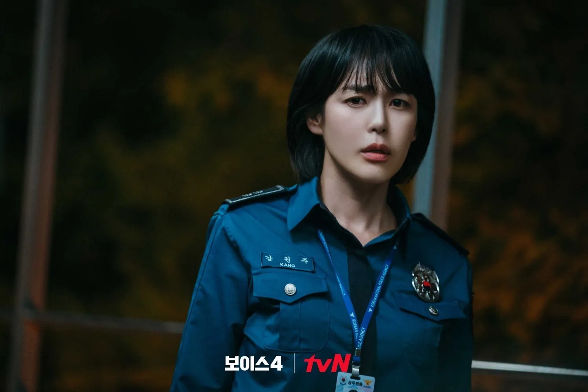 Voice (2017)