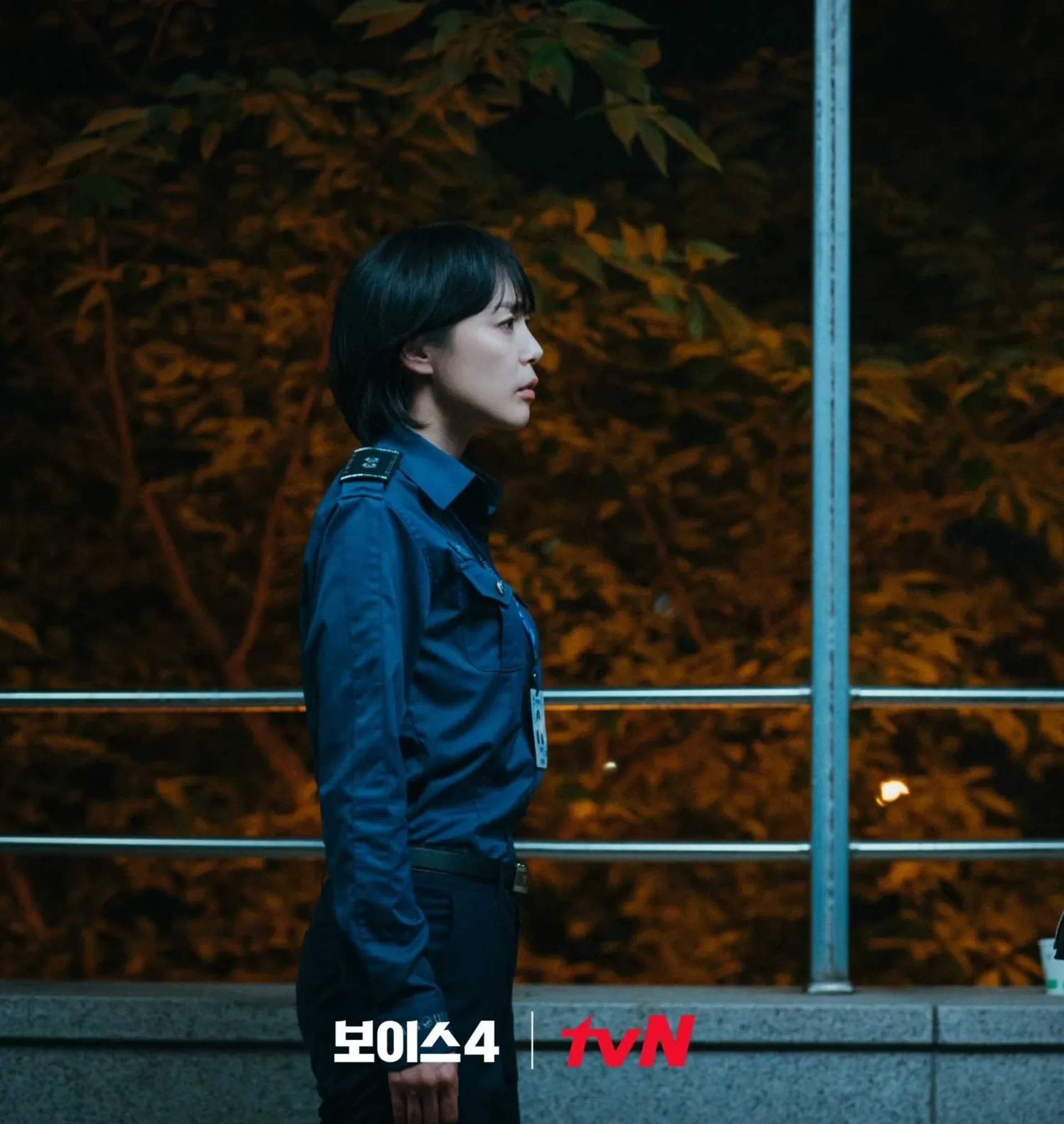 Voice (2017)