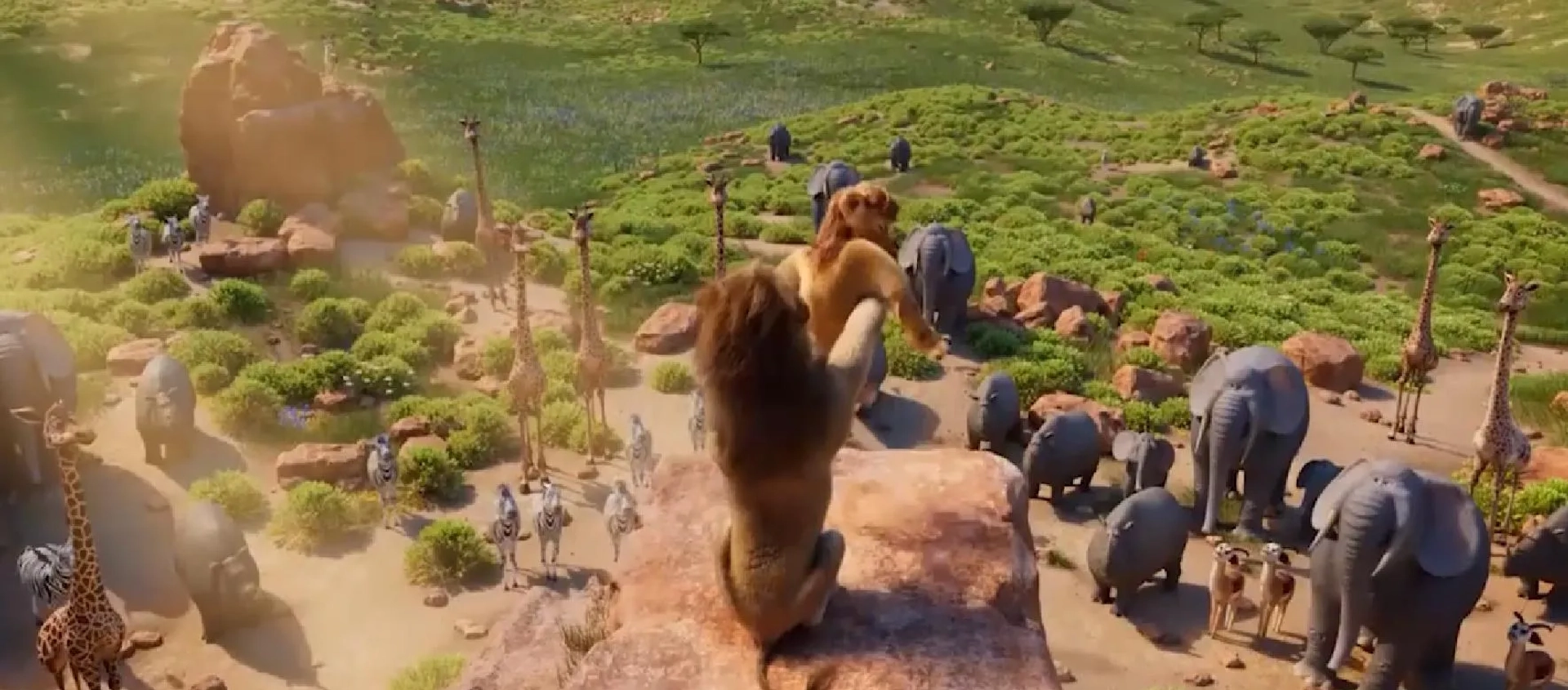 Panda Bear in Africa (2024)