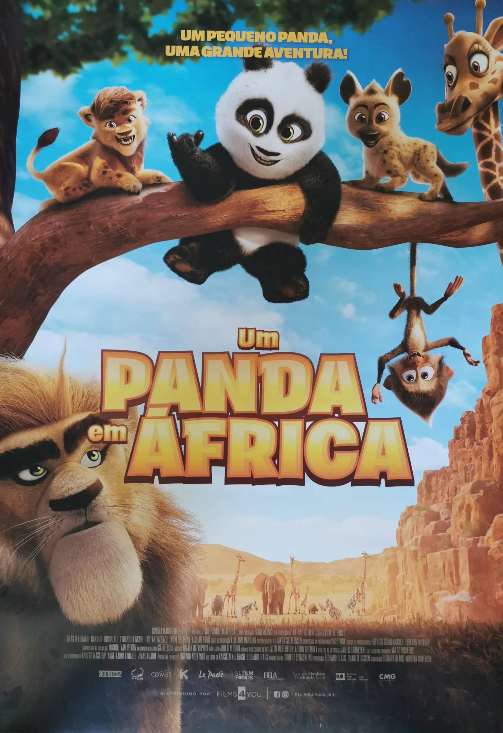 Panda Bear in Africa (2024)