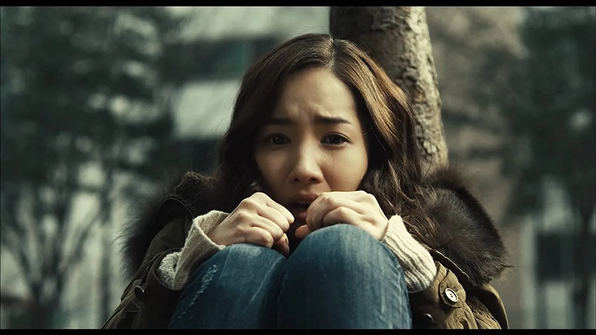 The Cat (2011)