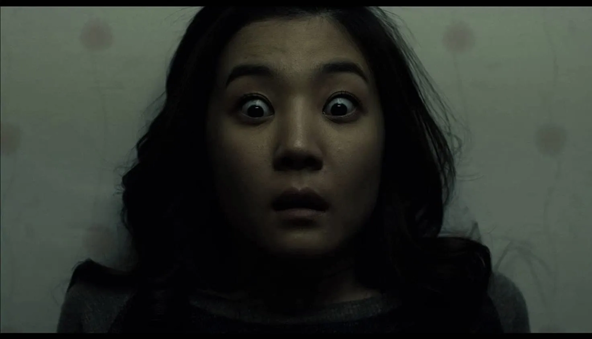 The Cat (2011)