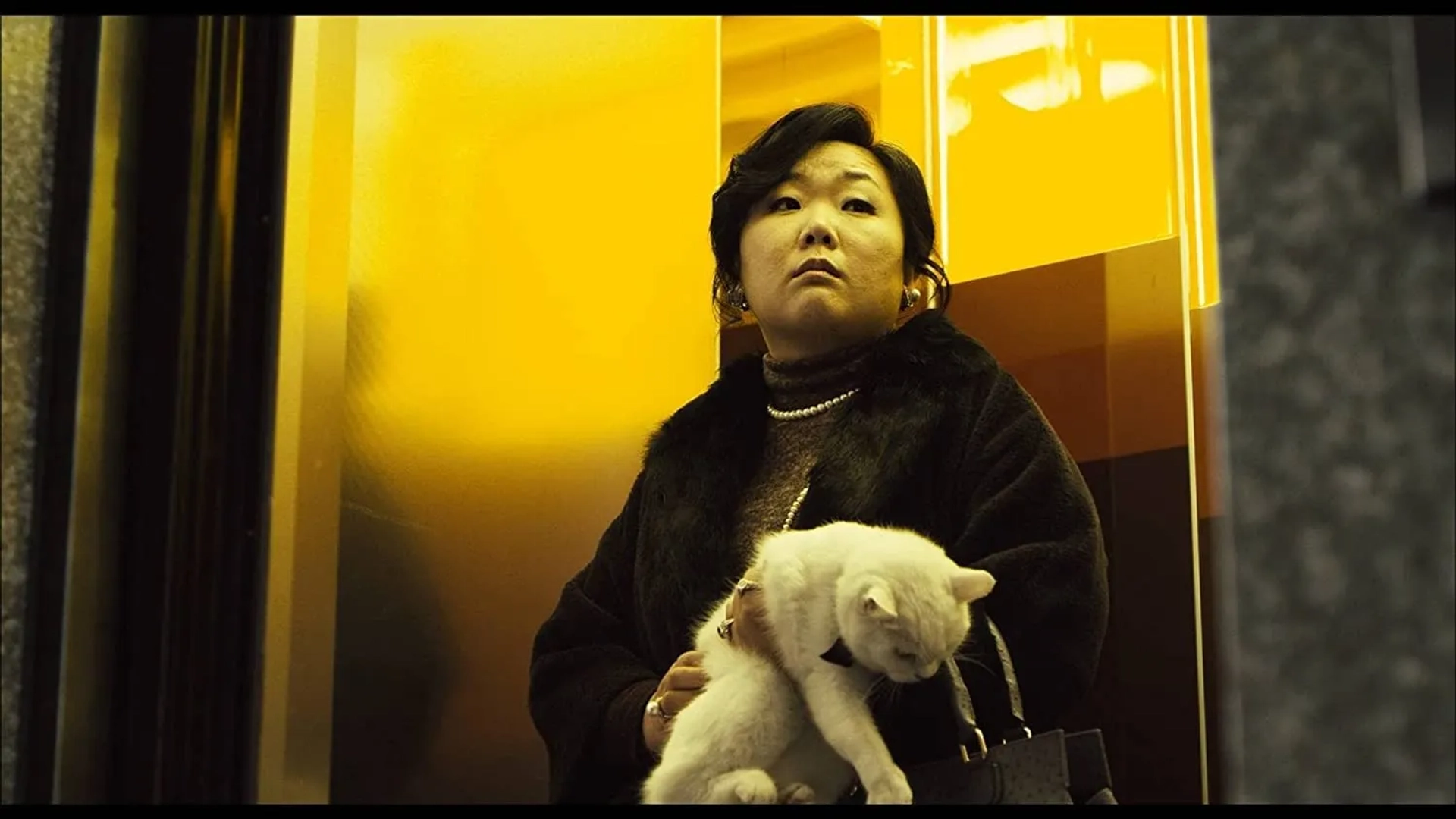 The Cat (2011)