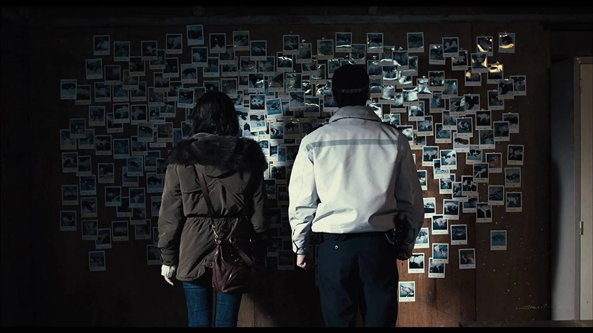 The Cat (2011)