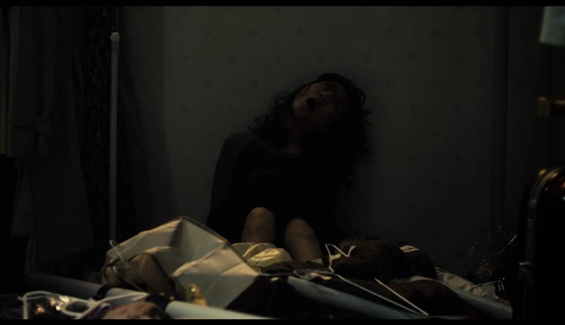 The Cat (2011)