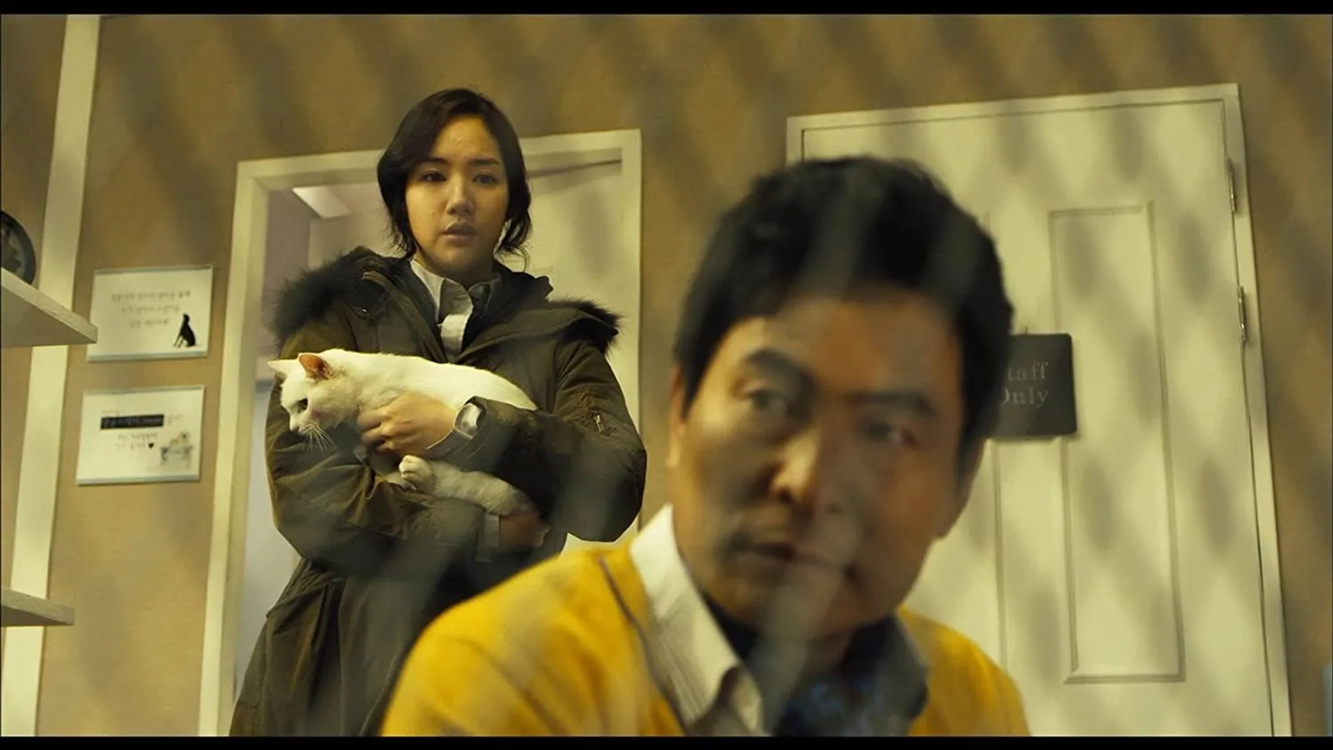 The Cat (2011)