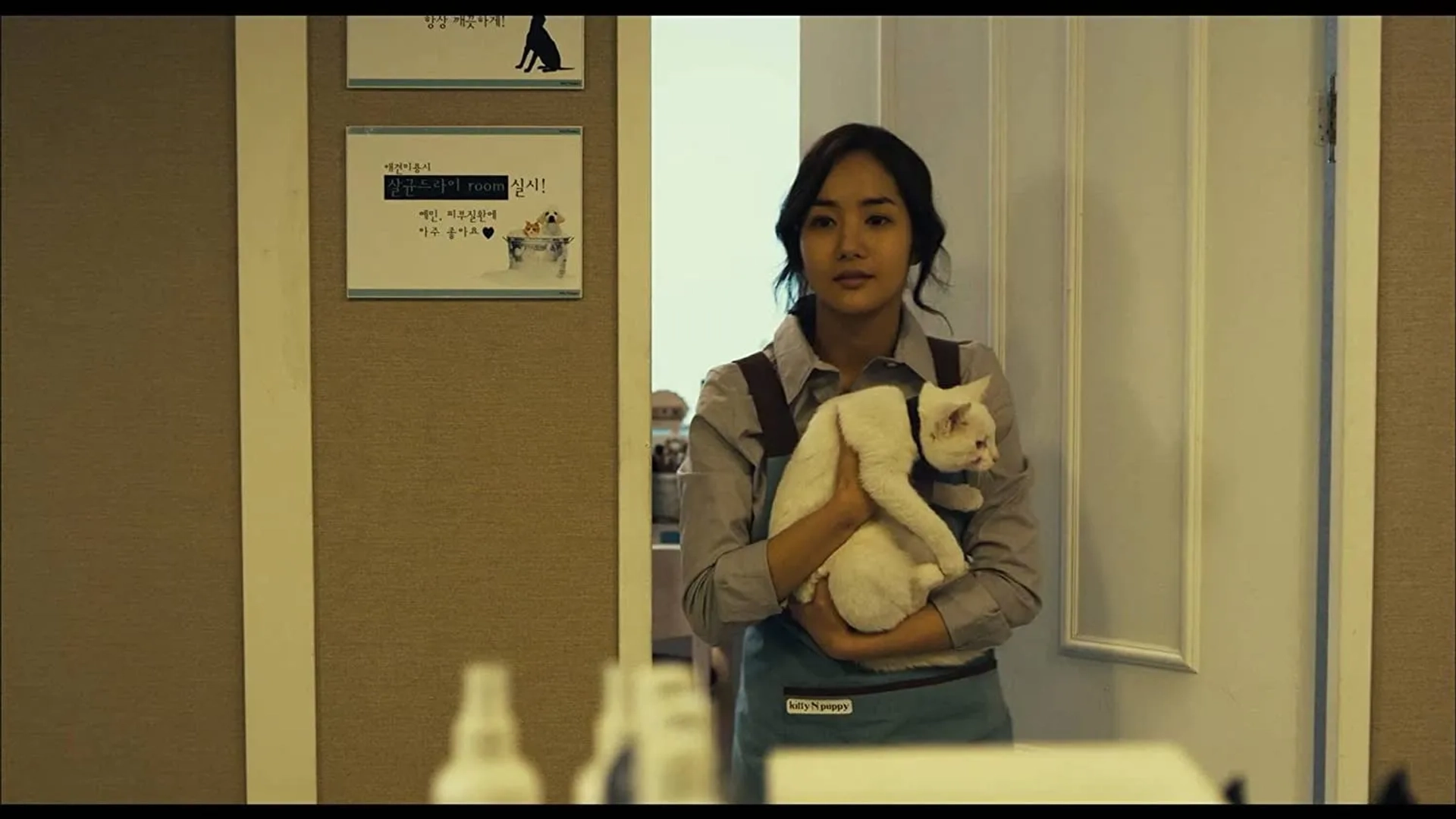 The Cat (2011)