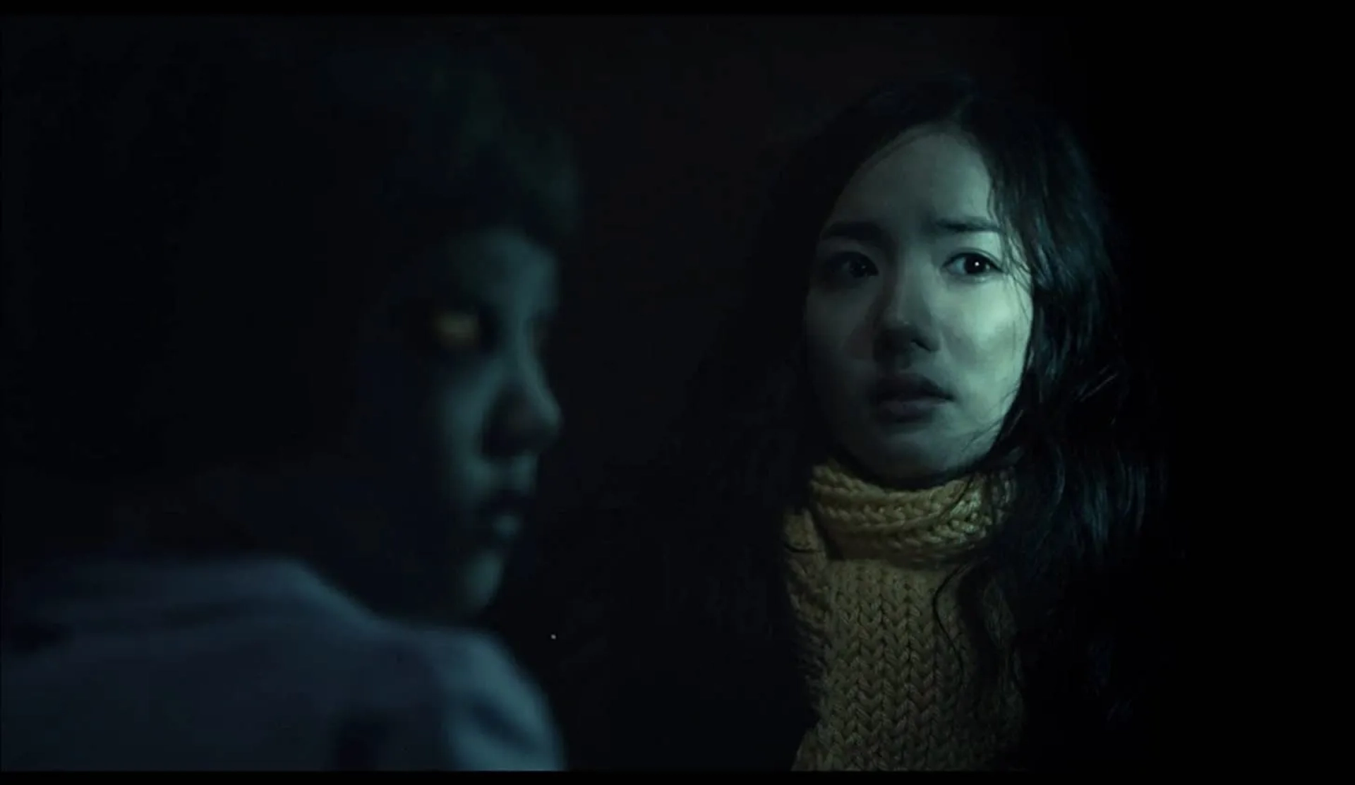 The Cat (2011)