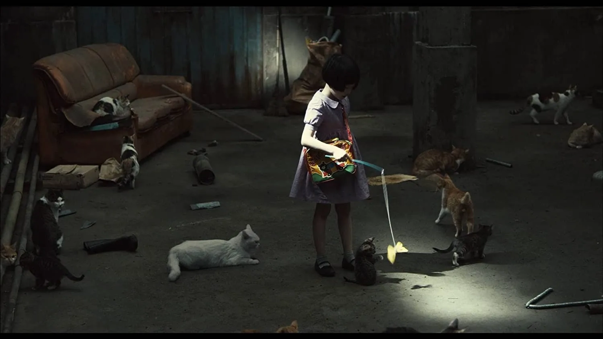 The Cat (2011)