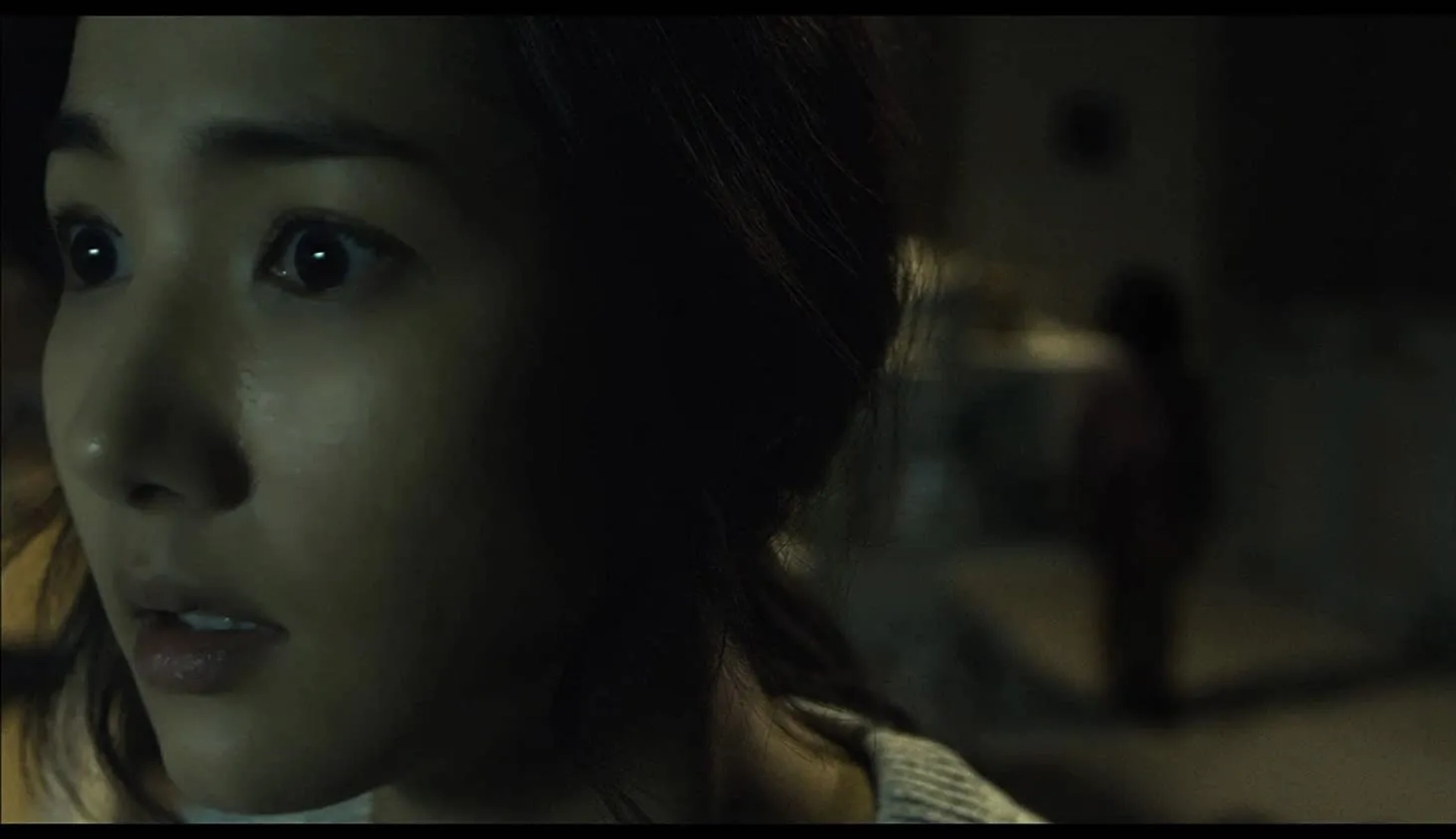 The Cat (2011)
