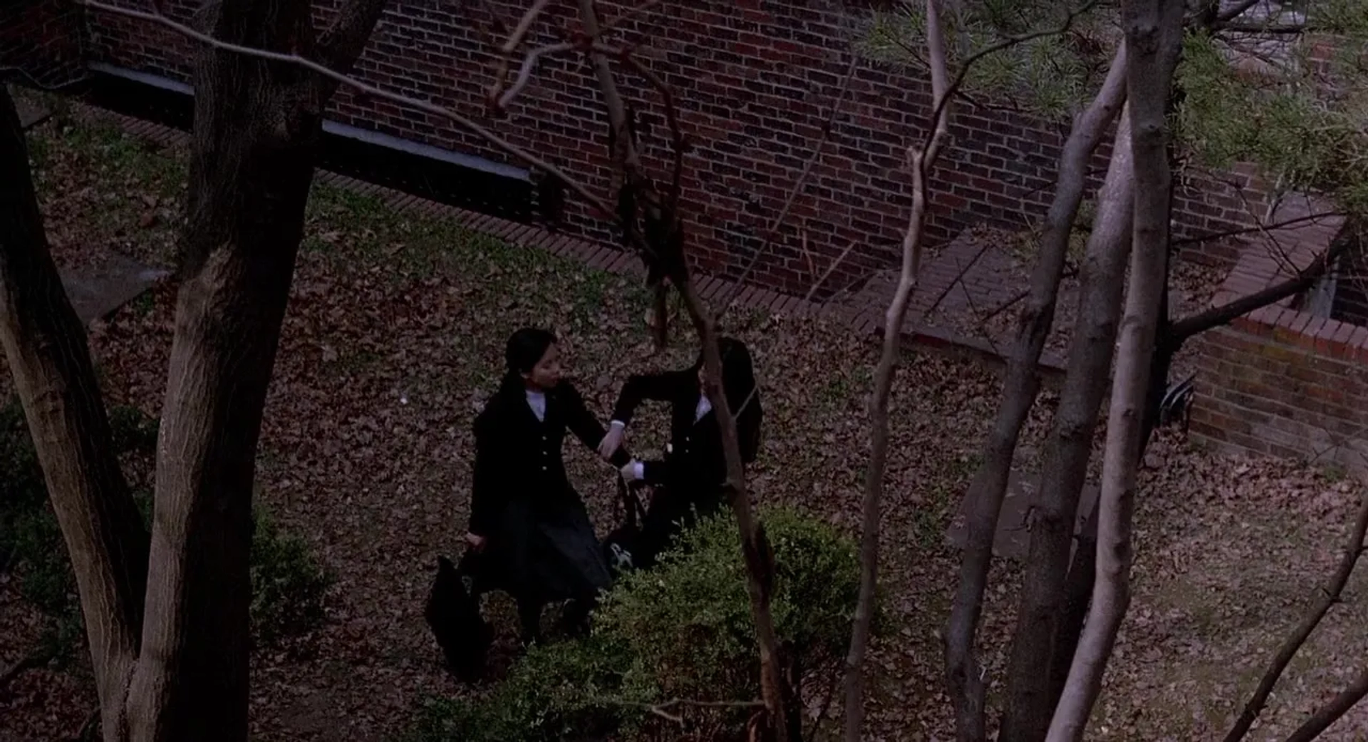 Wishing Stairs (2003)