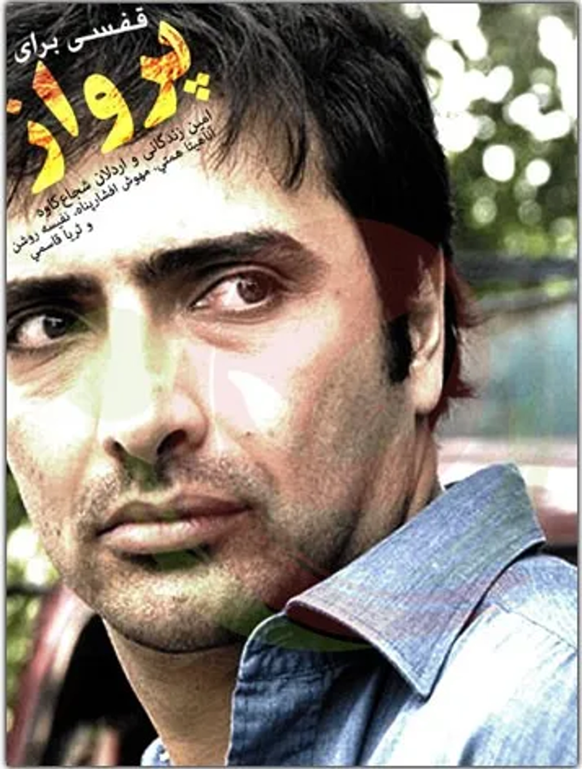 A Cage to Fly (2010)