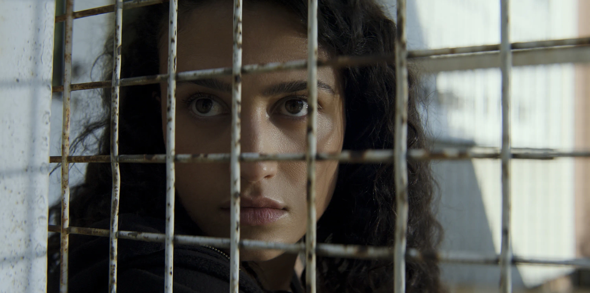 The Terminal List: Dark Wolf (2025)