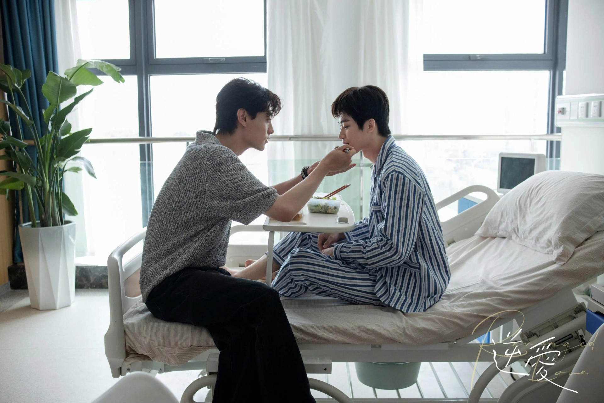 Revenged Love (2025)