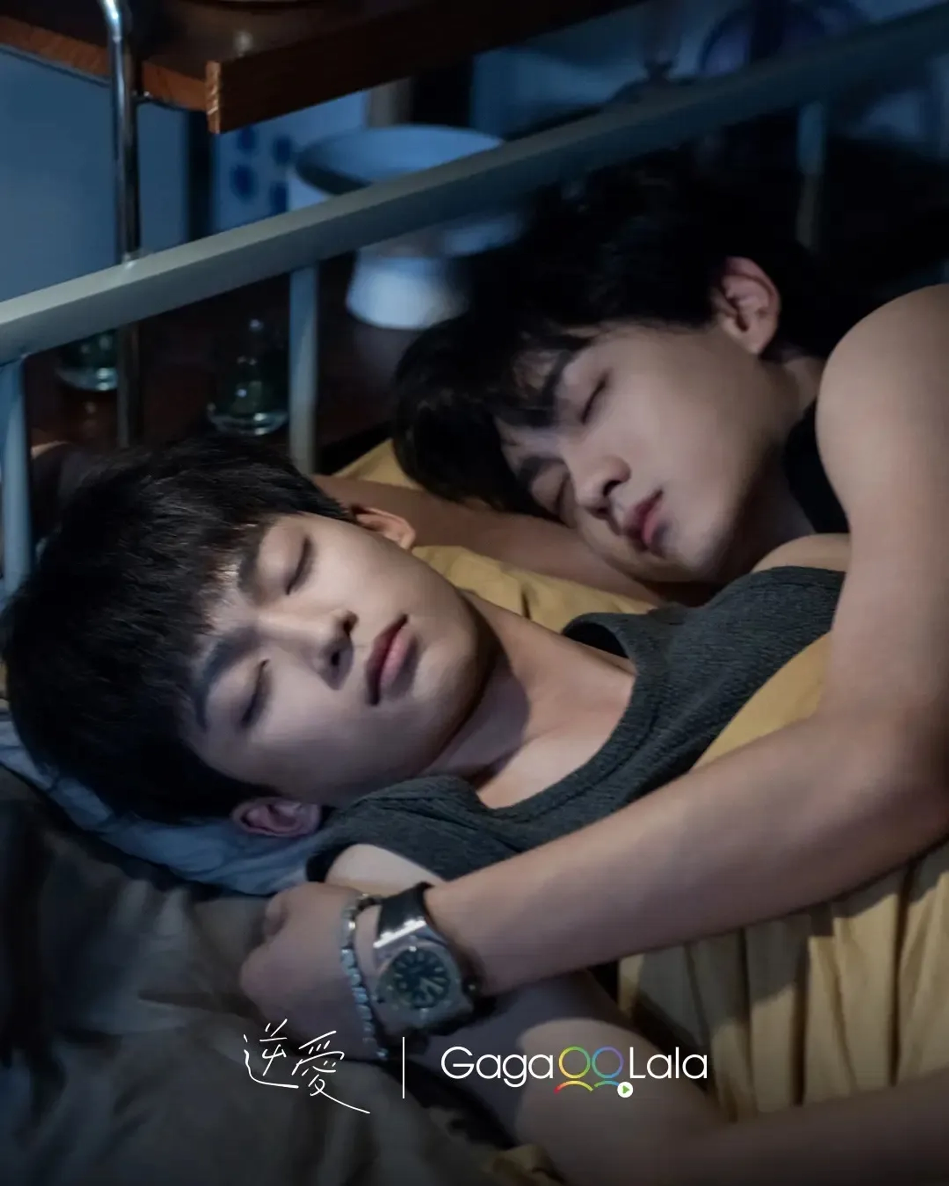 Revenged Love (2025)