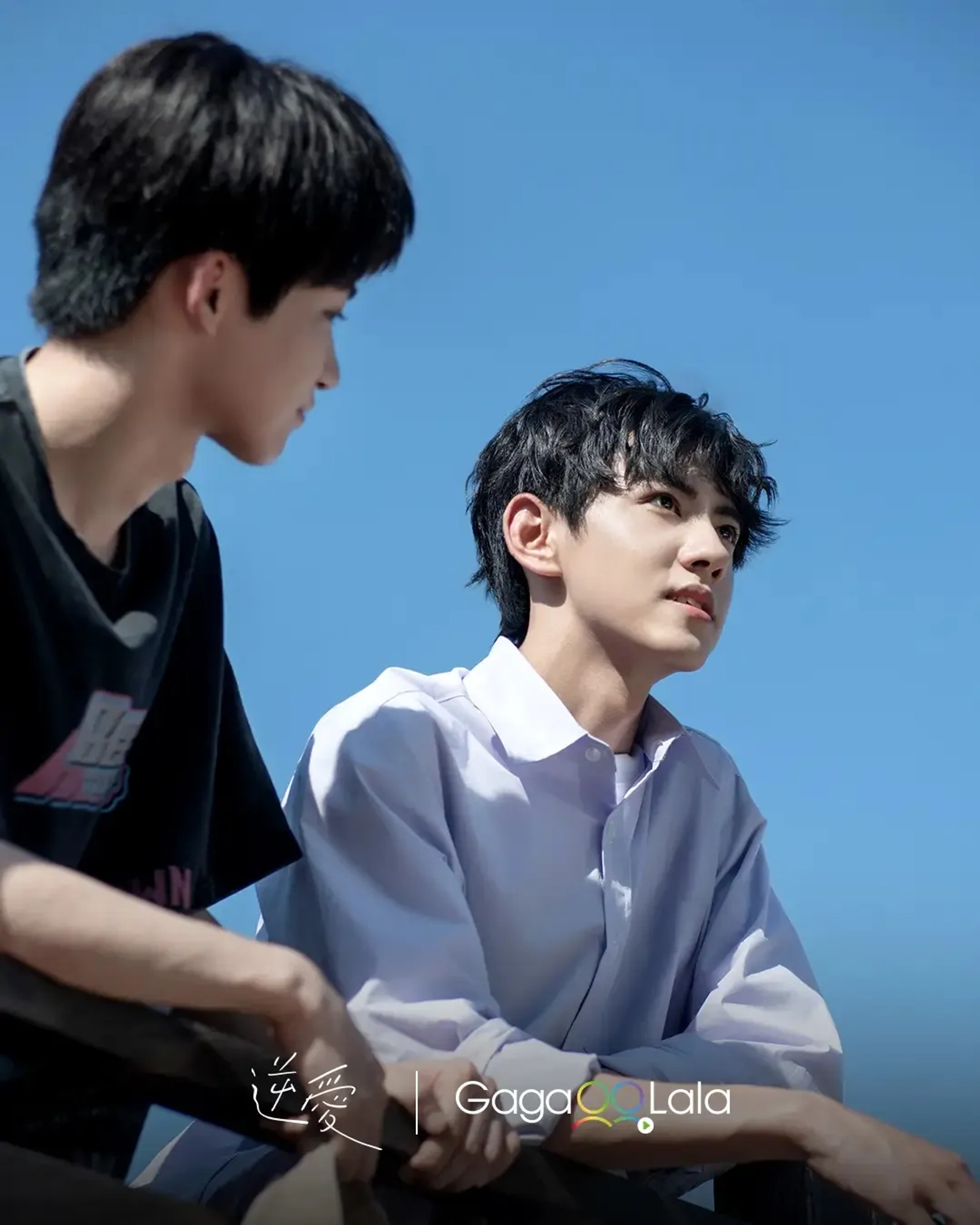 Revenged Love (2025)