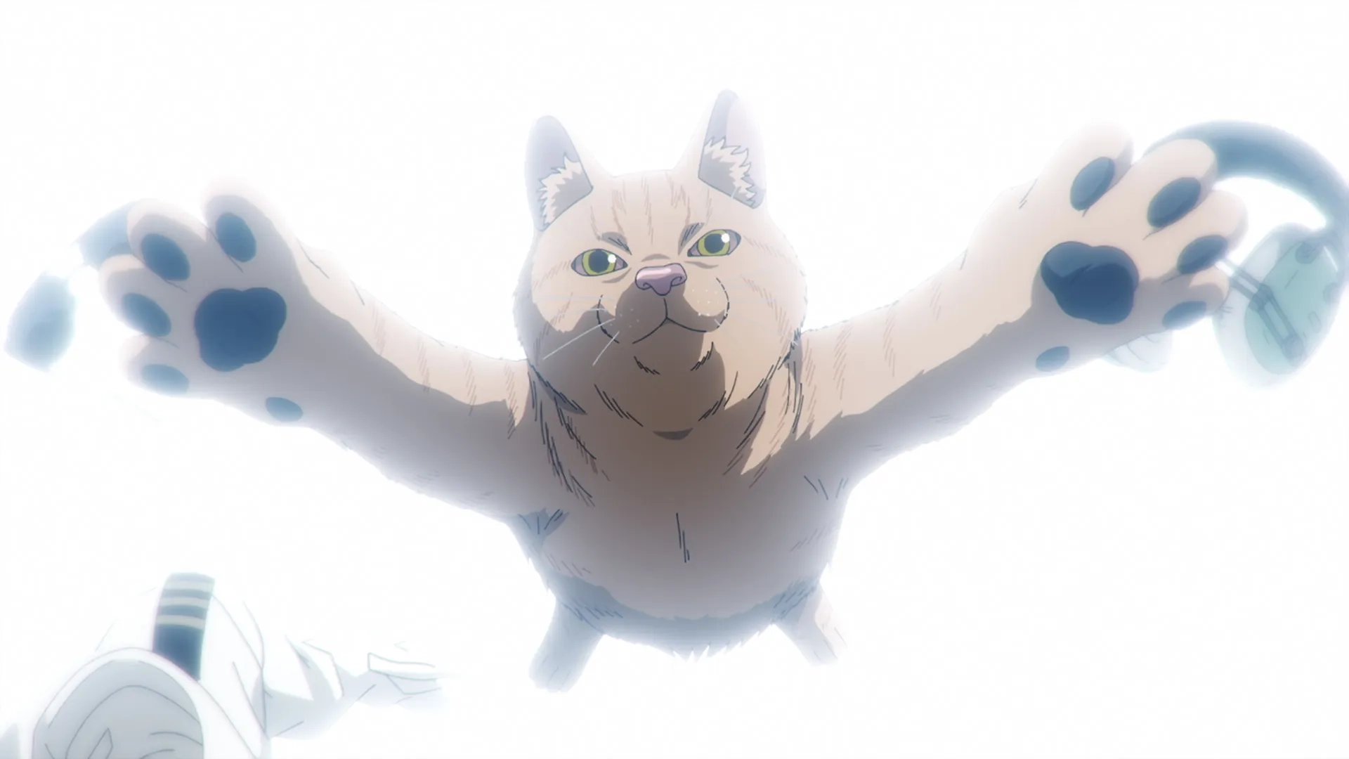 Nyaight of the Living Cat (2025)