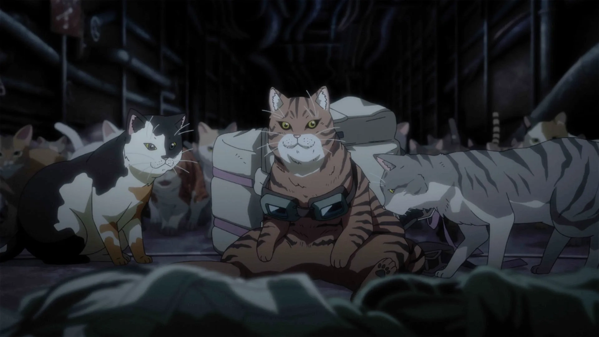 Nyaight of the Living Cat (2025)