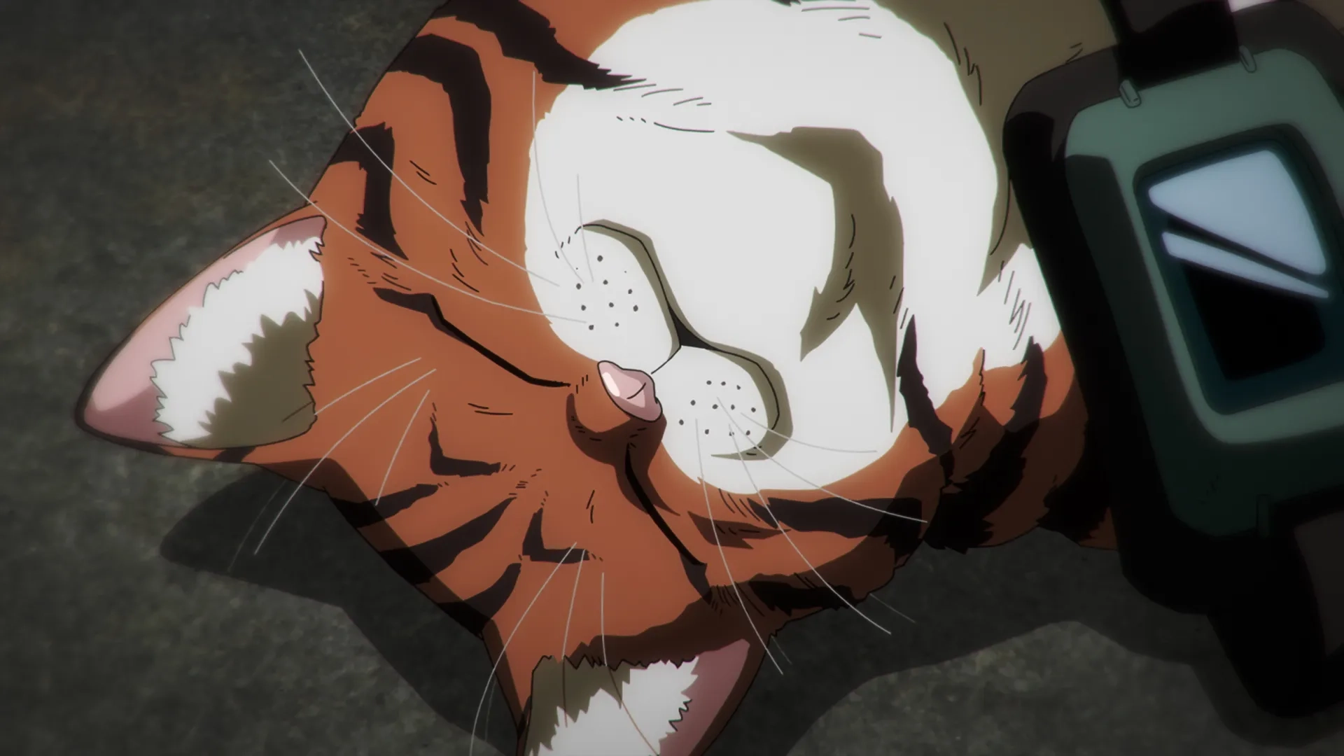 Nyaight of the Living Cat (2025)