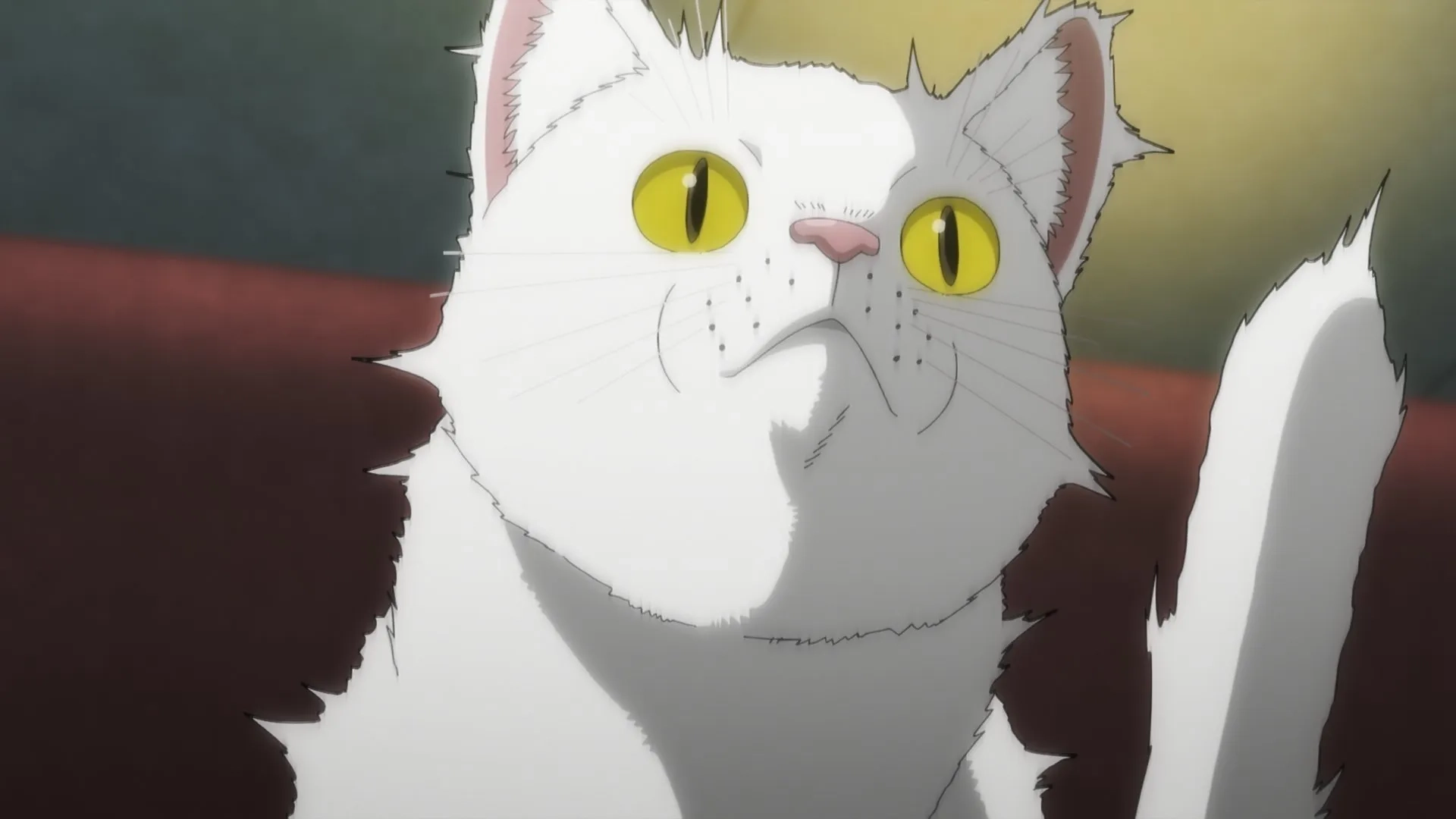 Nyaight of the Living Cat (2025)