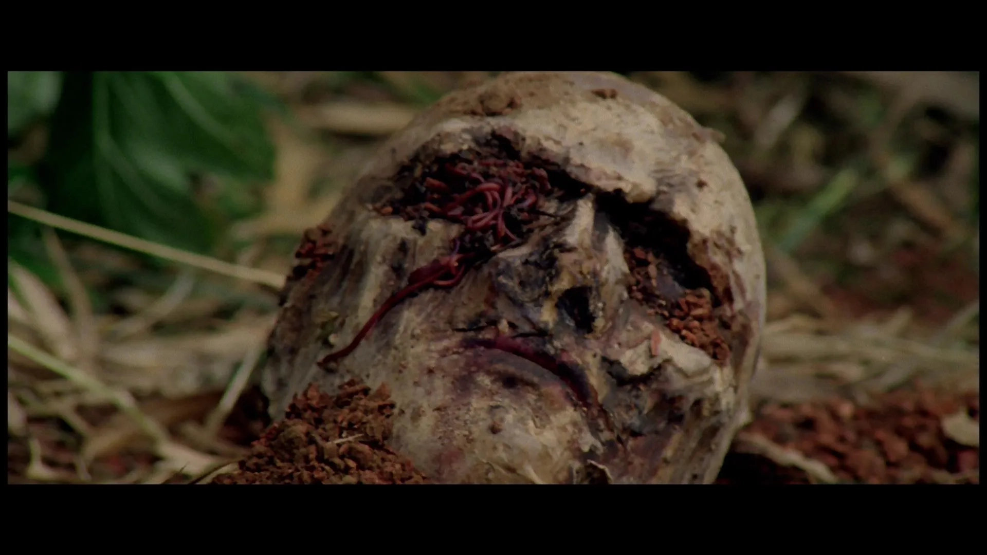 Ottaviano Dell'Acqua in Zombie (1979)