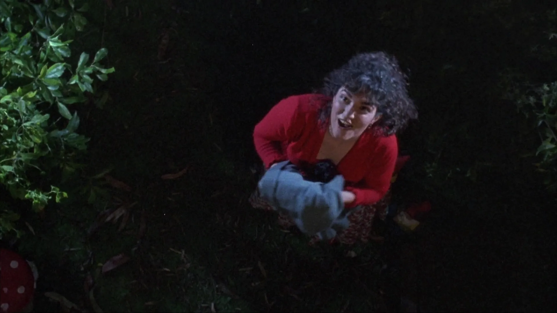 Dead Alive (1992)