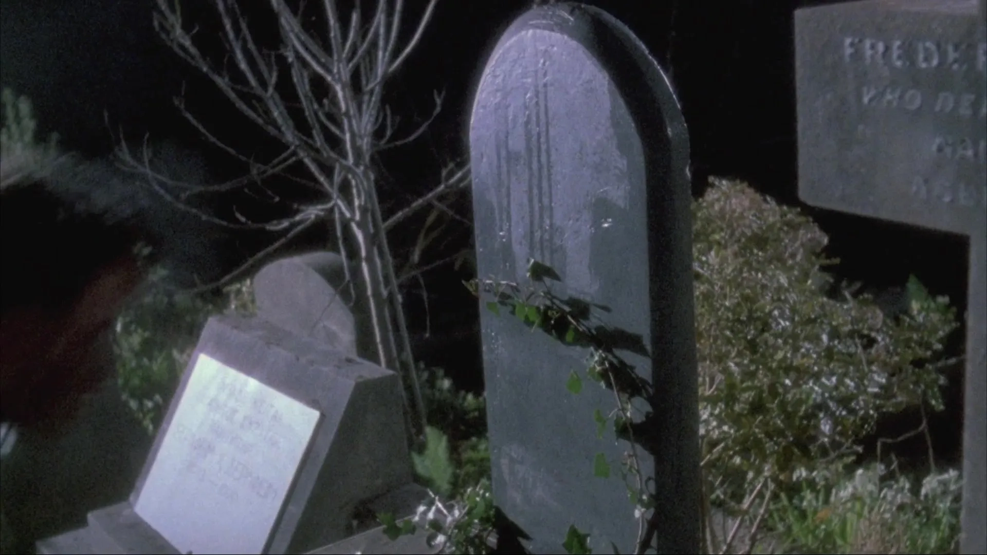 Dead Alive (1992)