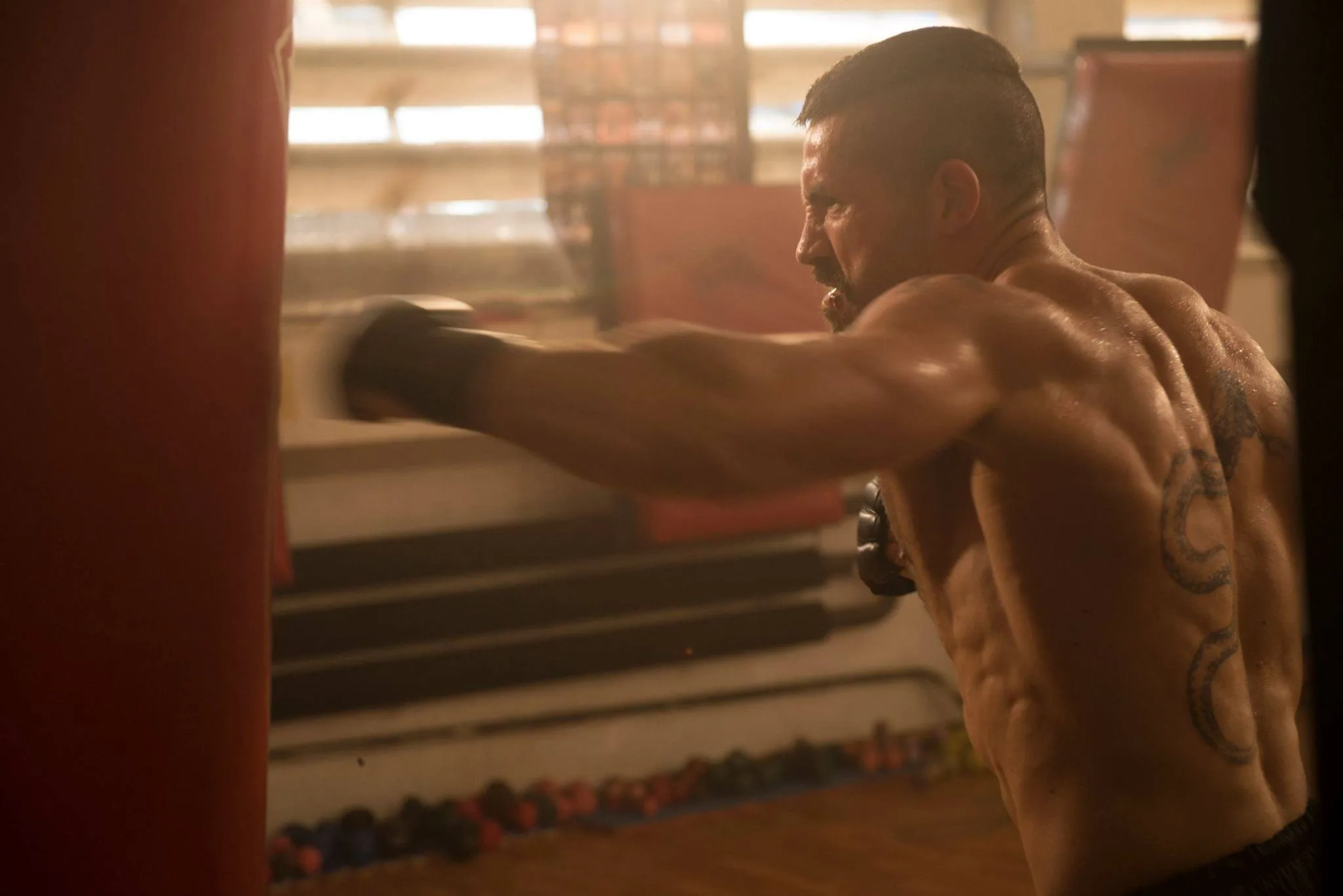 Scott Adkins in Undisputed 4: Boyka (2016)