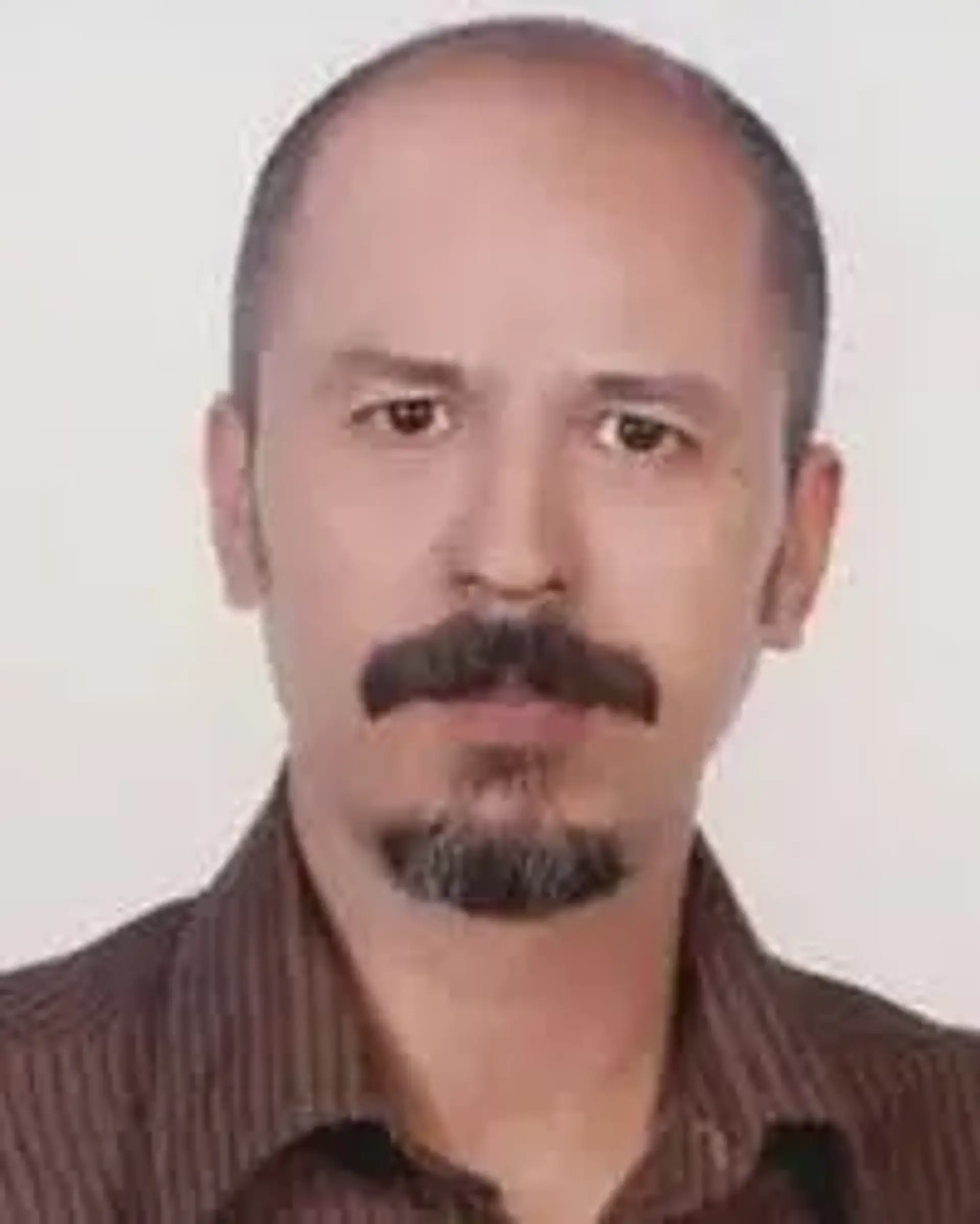 محمدرضا  مویینی