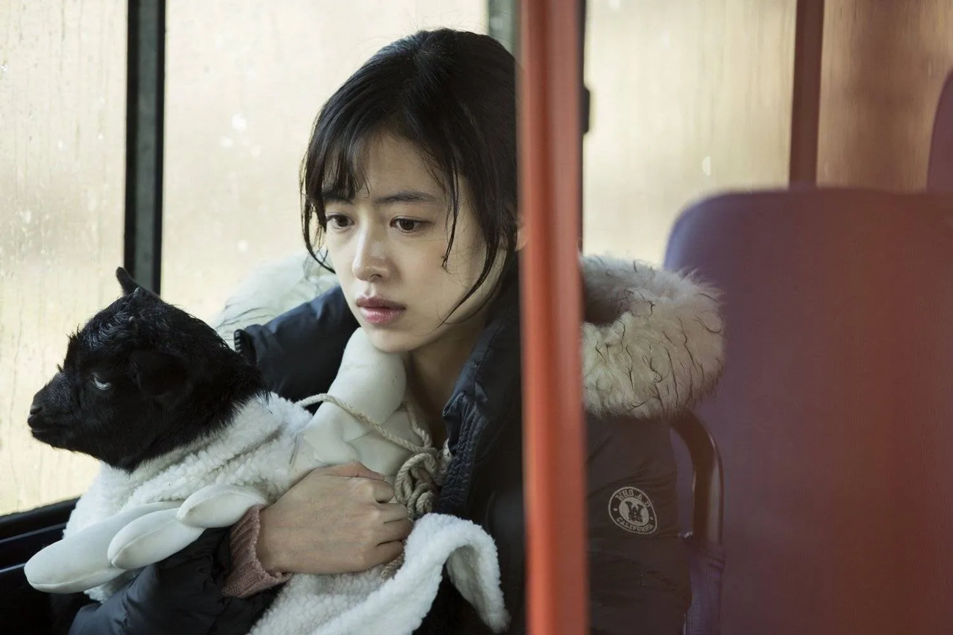 A Stray Goat (2017)