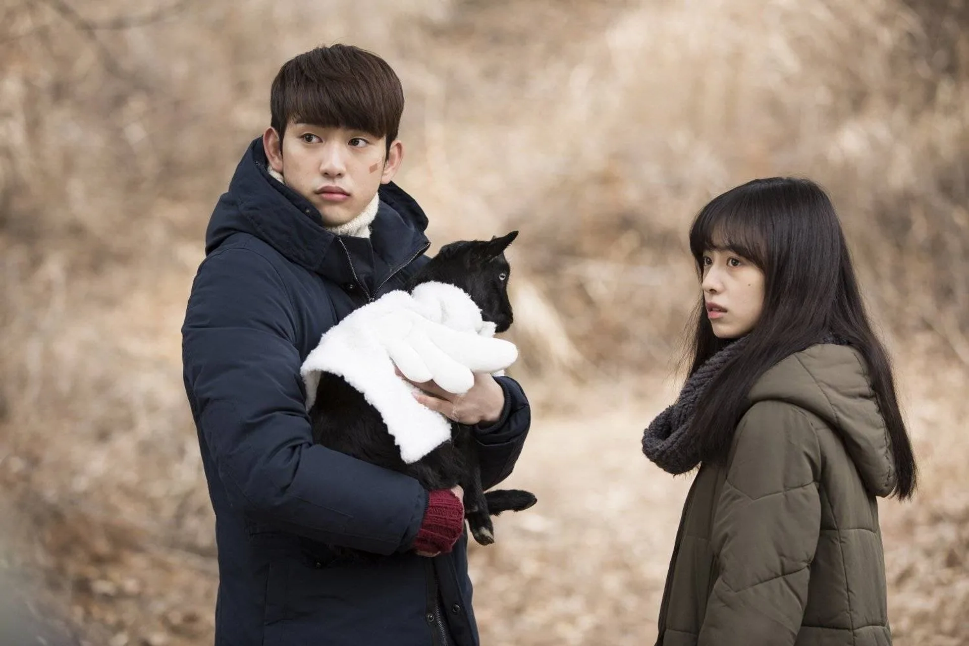 A Stray Goat (2017)