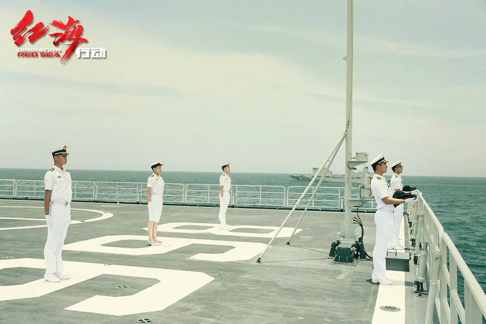 Operation Red Sea (2018)