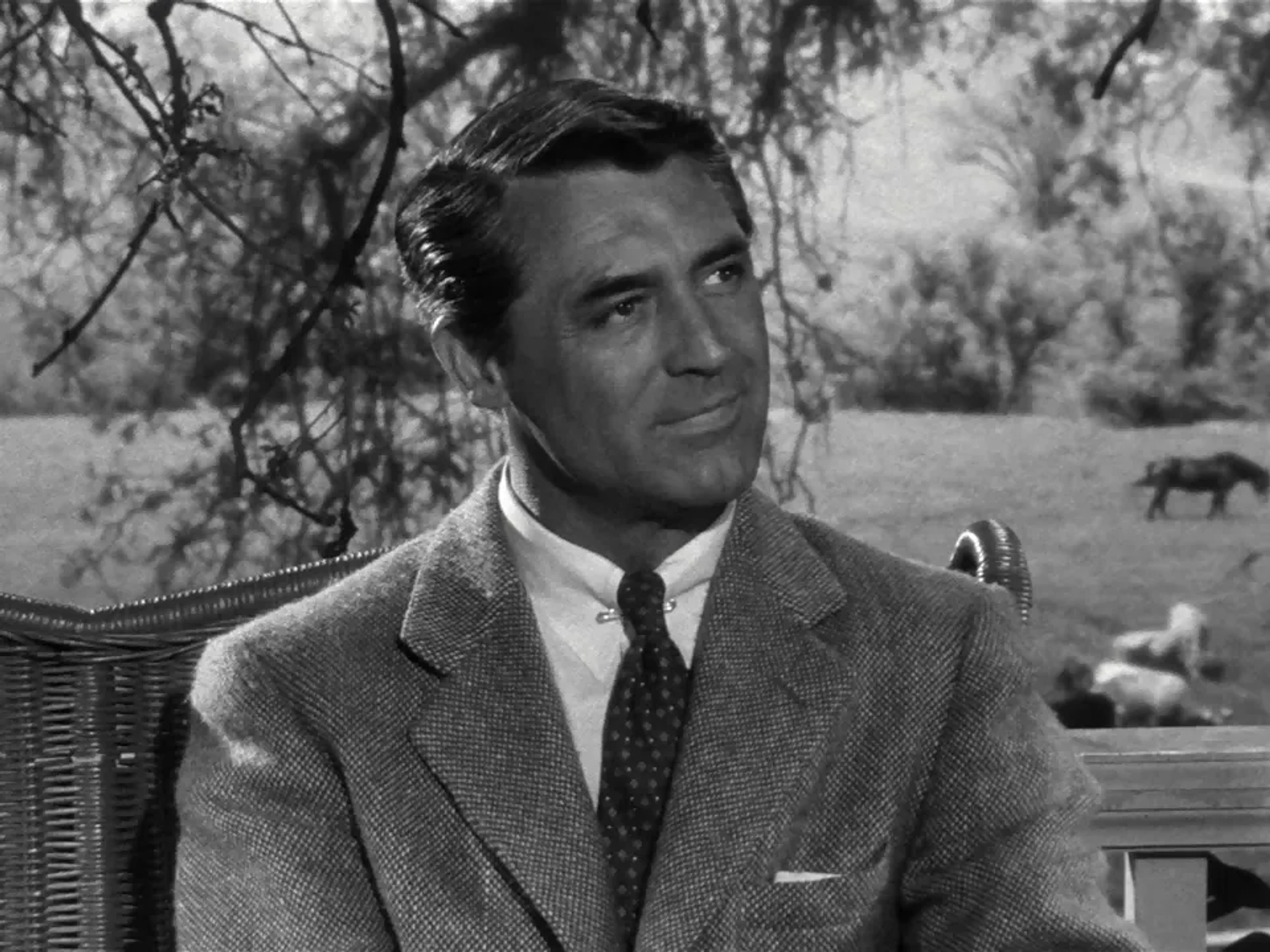 Cary Grant in People Will Talk (1951)