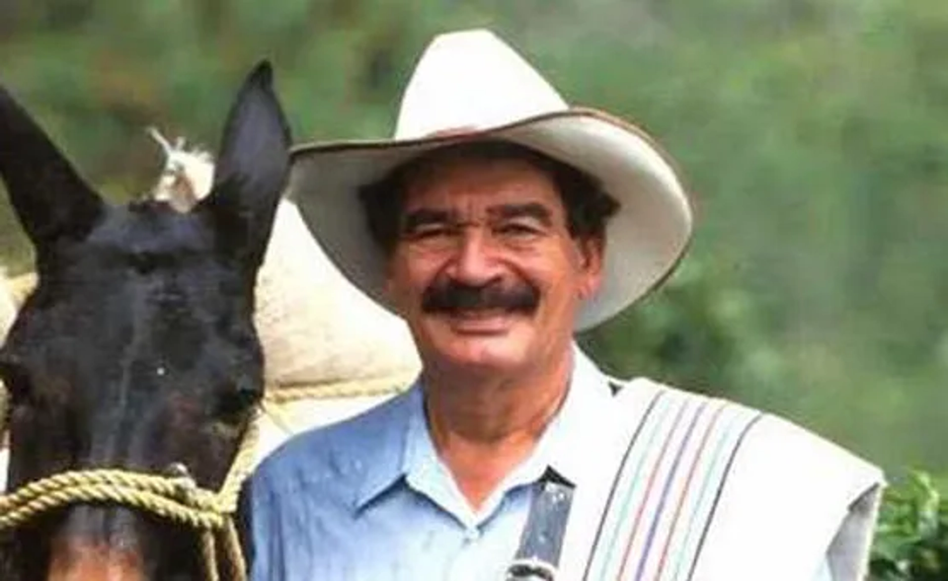 خوان  والدز