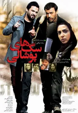 سگ های پوشالی ۱۳۹۲