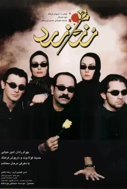 رز زرد ۱۳۸۱