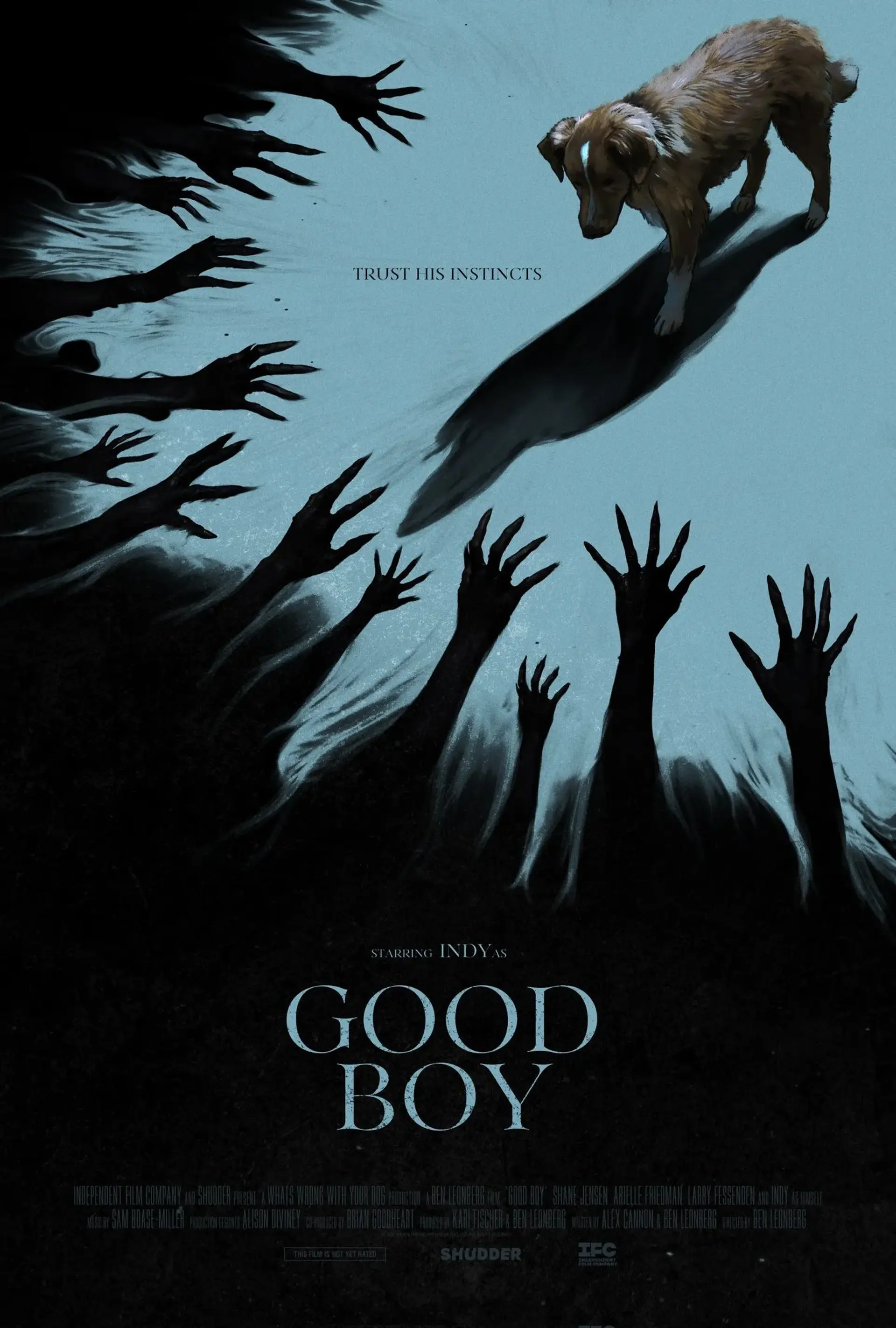 فیلم پسر خوب (Good Boy 2025)