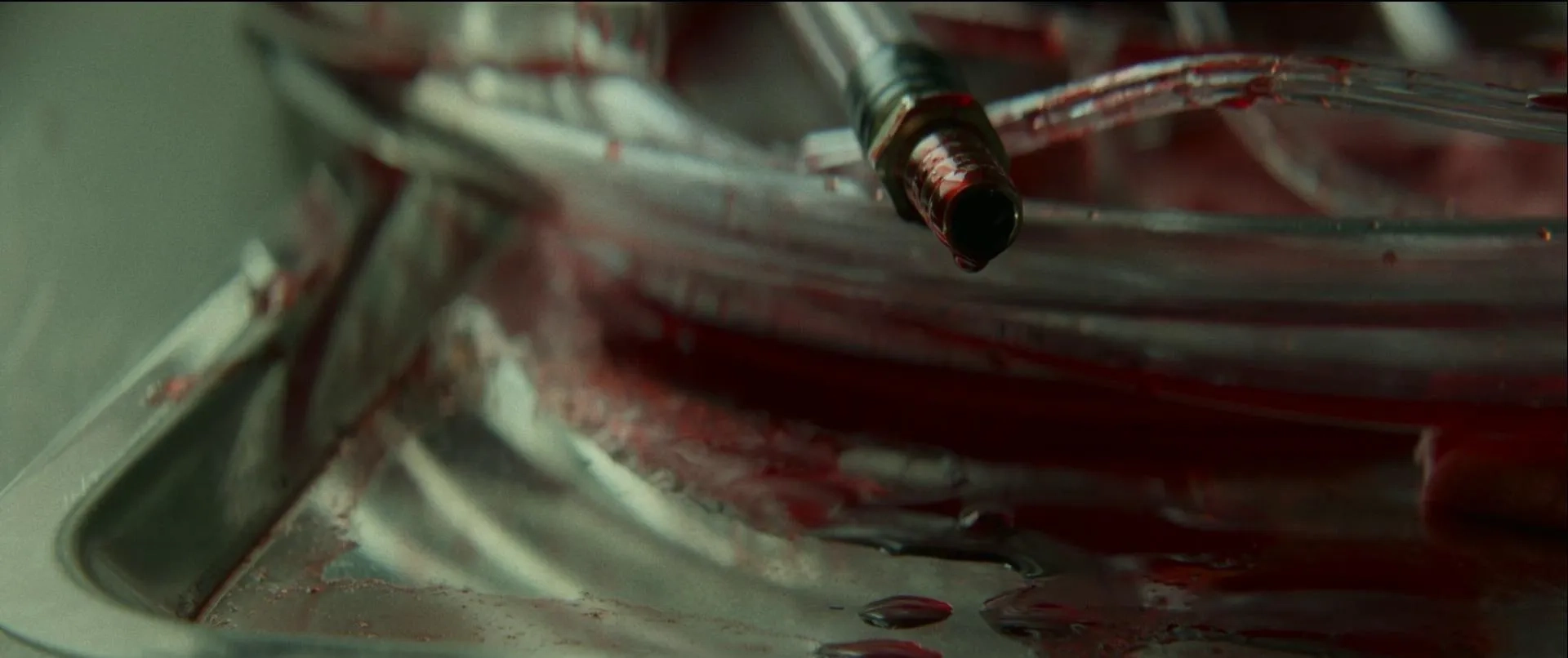 Birth/Rebirth (2023)