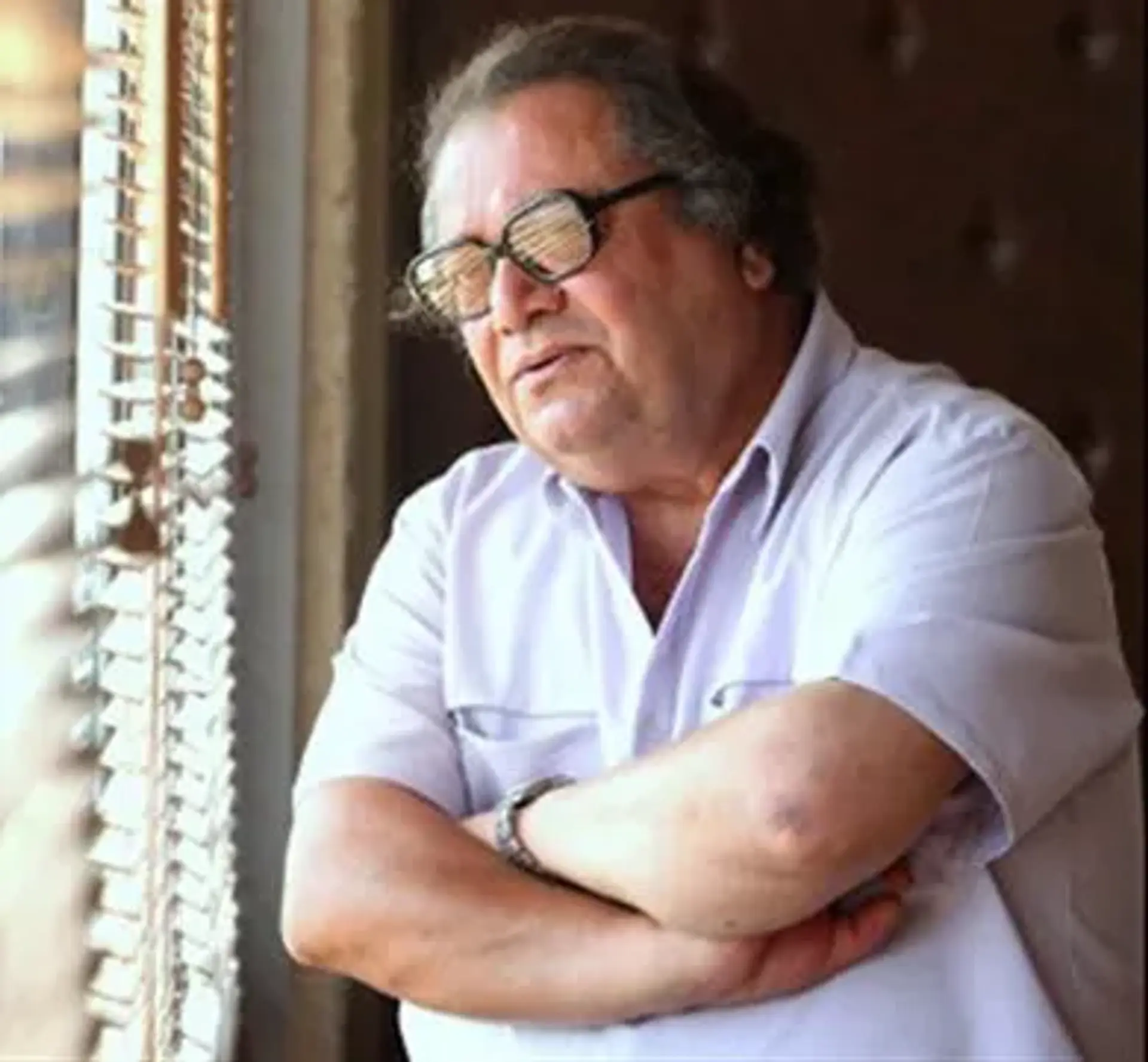محمد مطیع