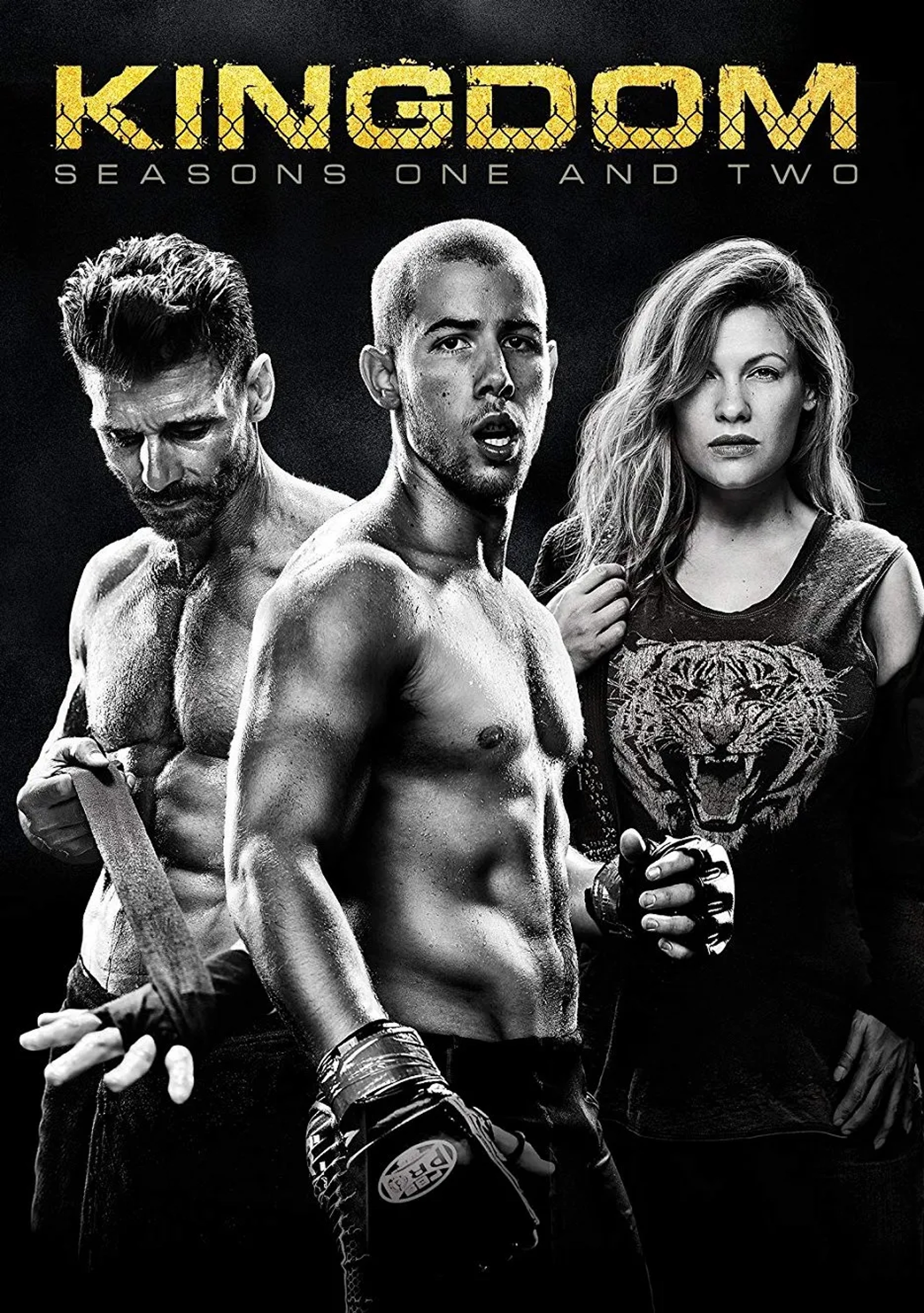 سریال پادشاهی (Kingdom 2014)