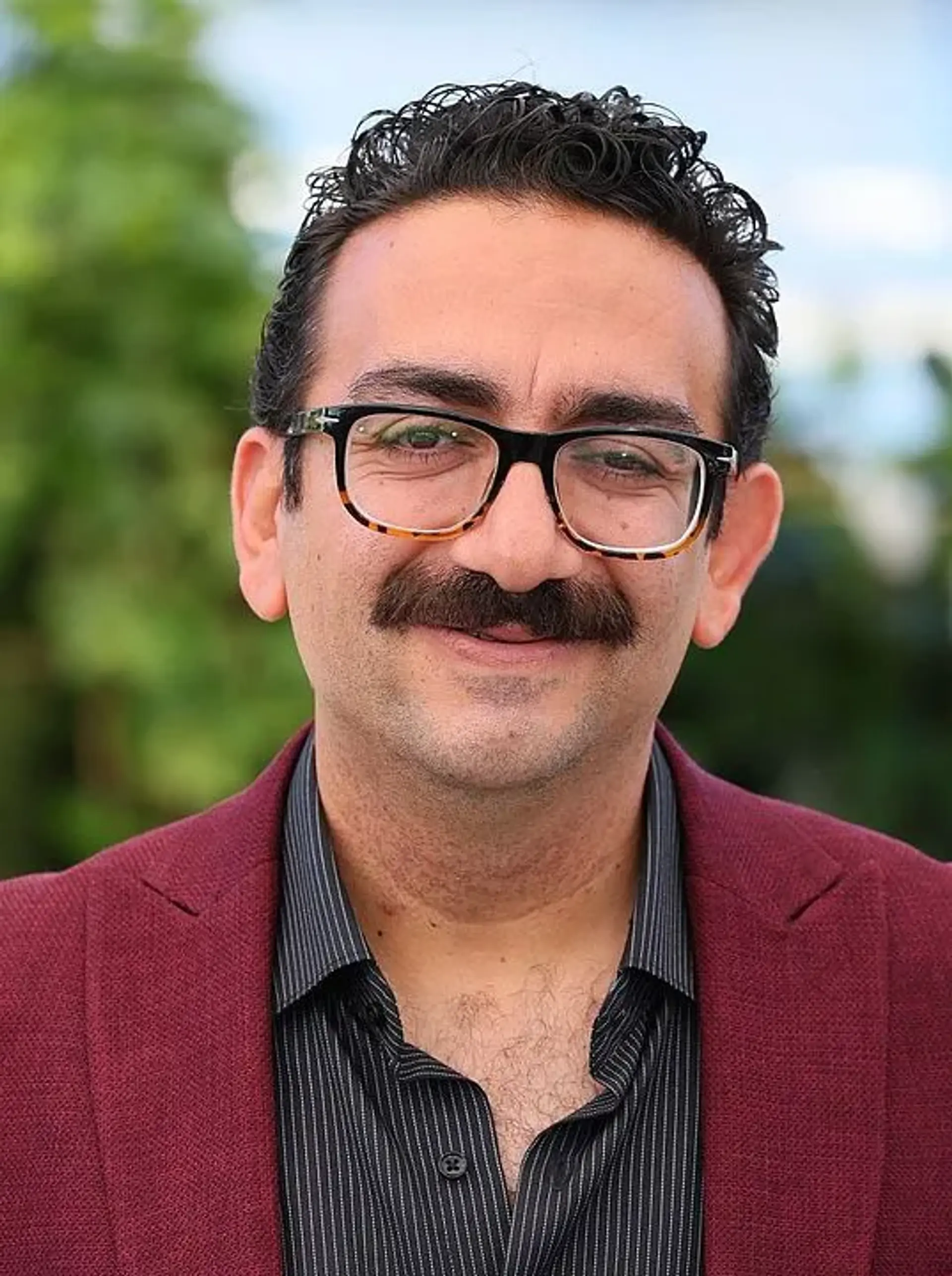 وحید مبصری