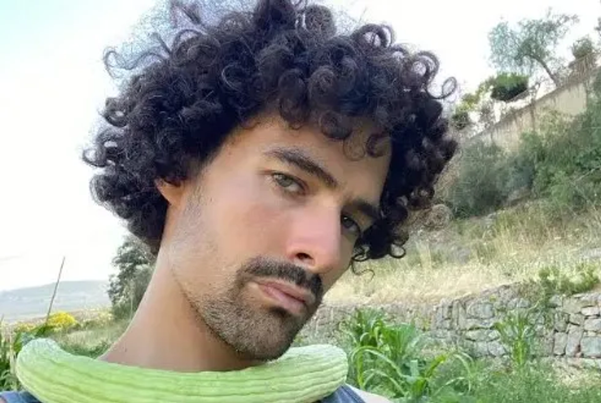 هادی بوعیاش