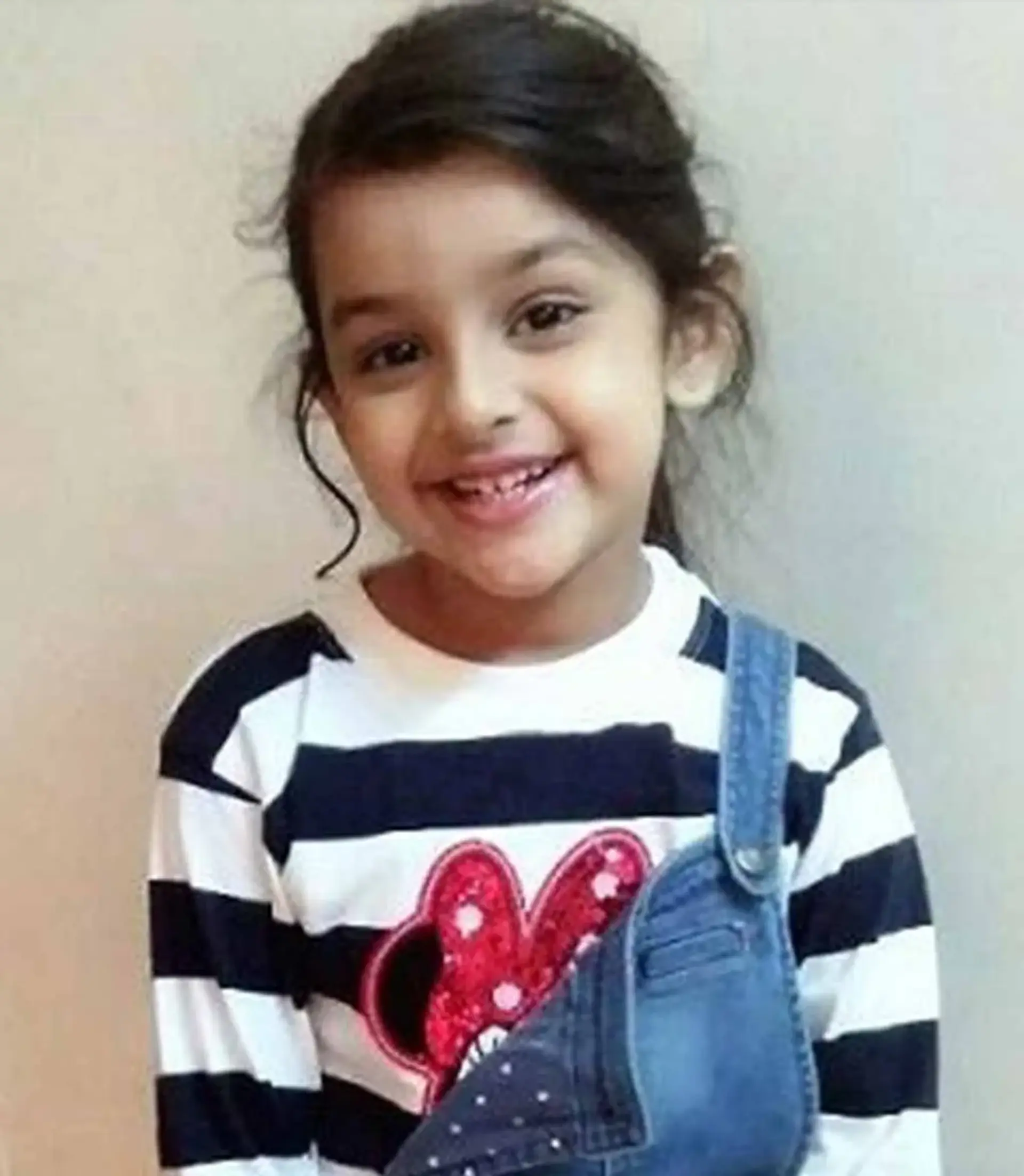 شیویکا  ریشی
