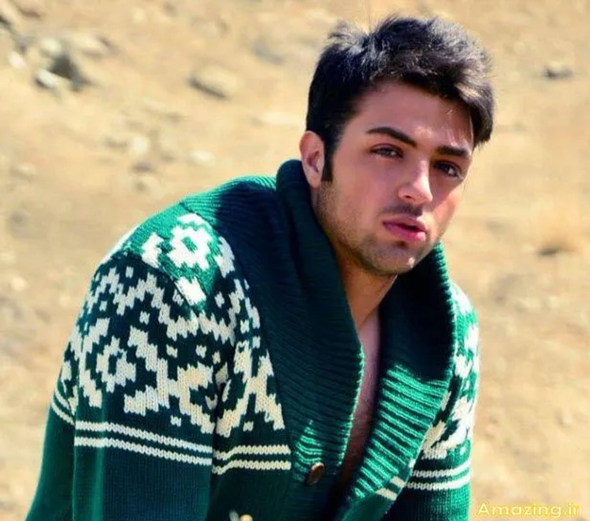 پوریا عادلی