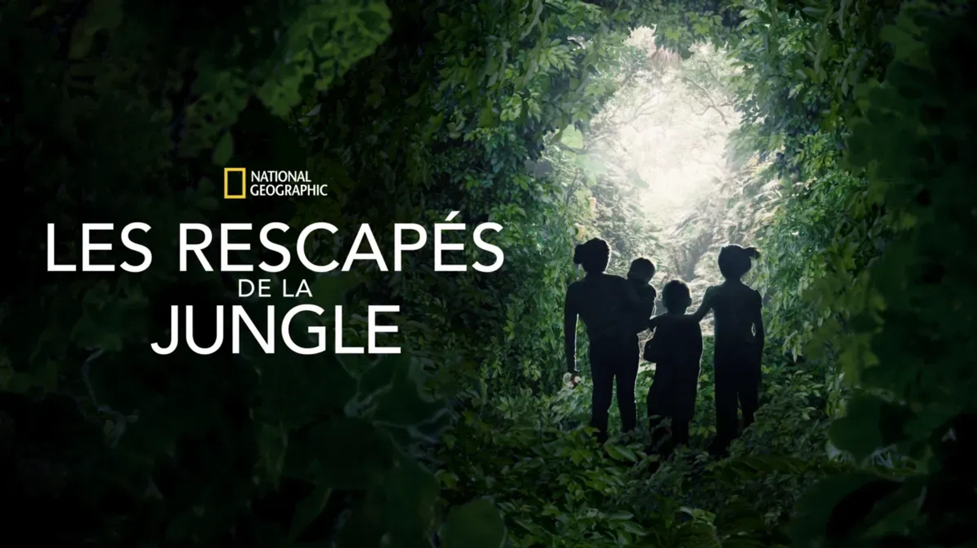 مستند گمشده در جنگل (Lost in the Jungle 2025)