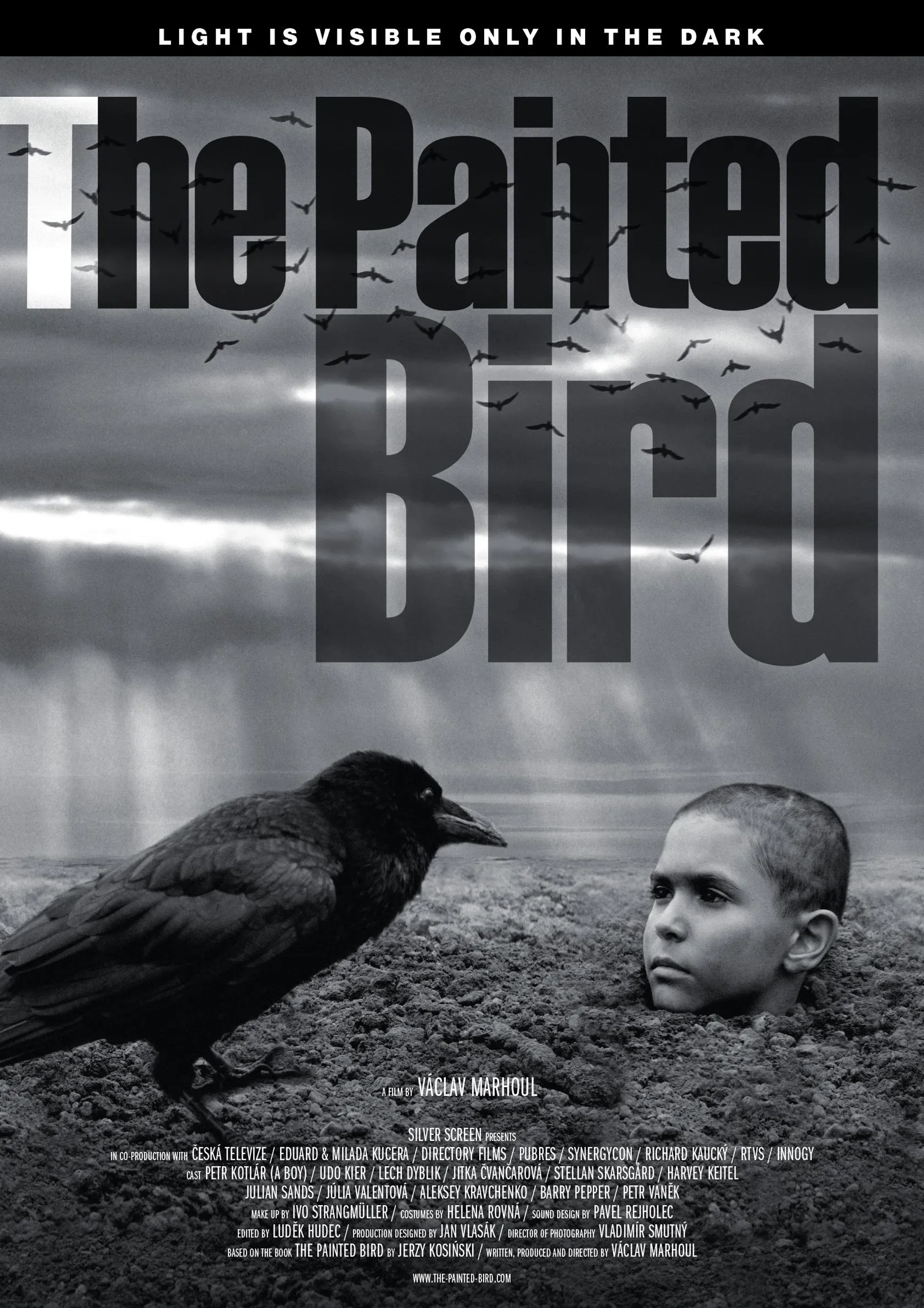فیلم پرنده رنگین (The Painted Bird 2019)