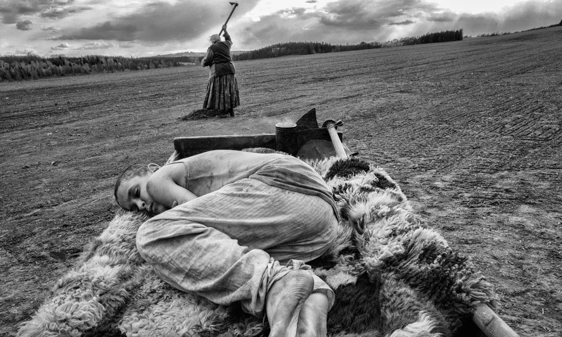 پرنده رنگین