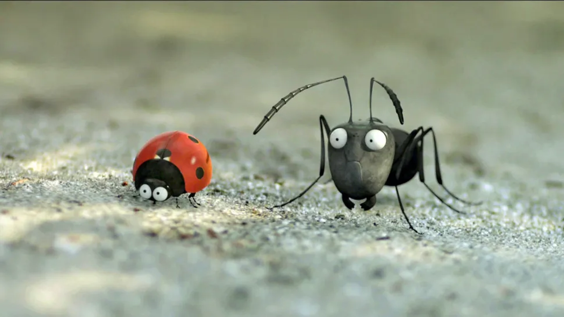 انیمیشن موجودات کوچک: دره مورچه های گمشده (Minuscule: Valley of the Lost Ants 2013)